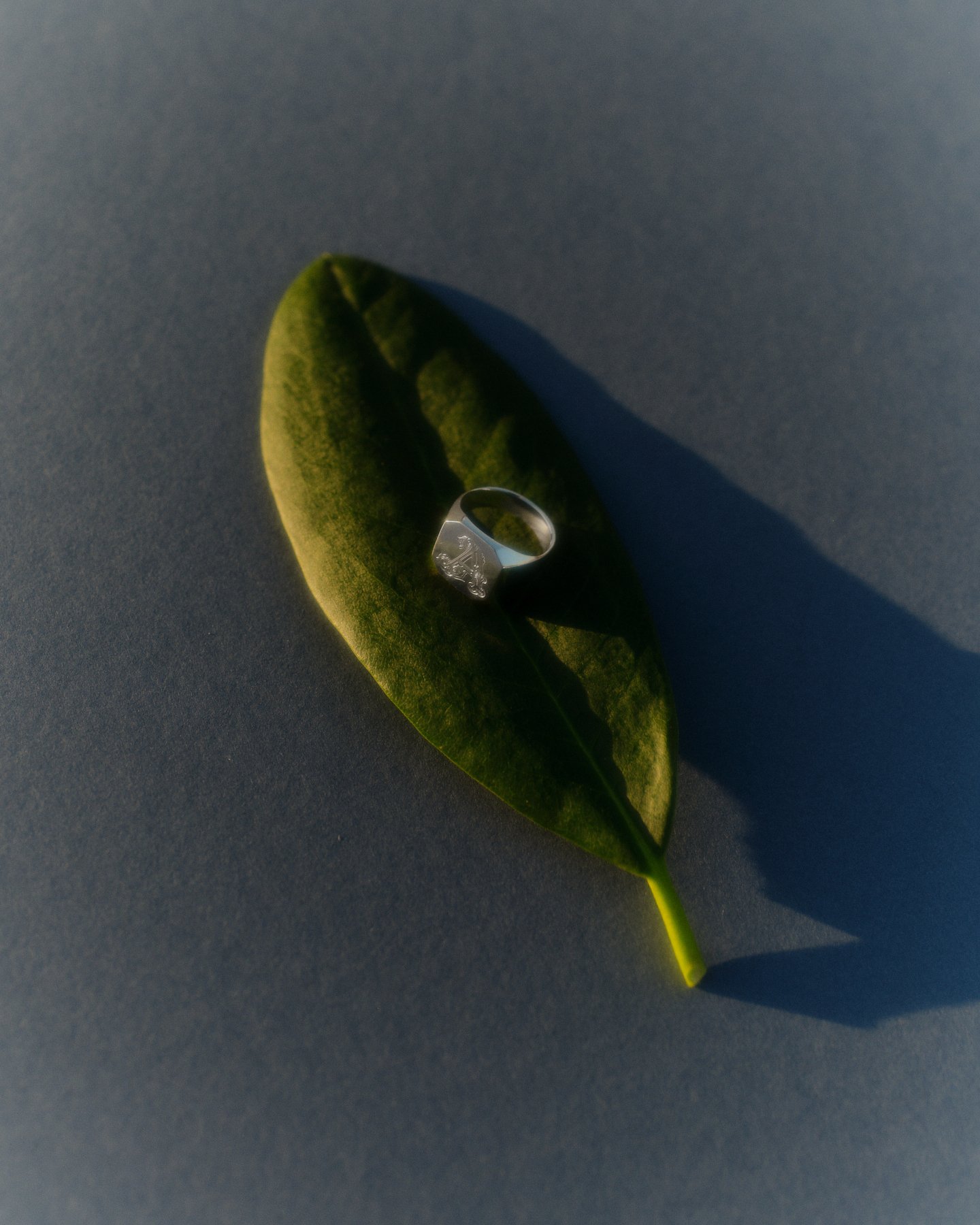 DSCF6951.jpg