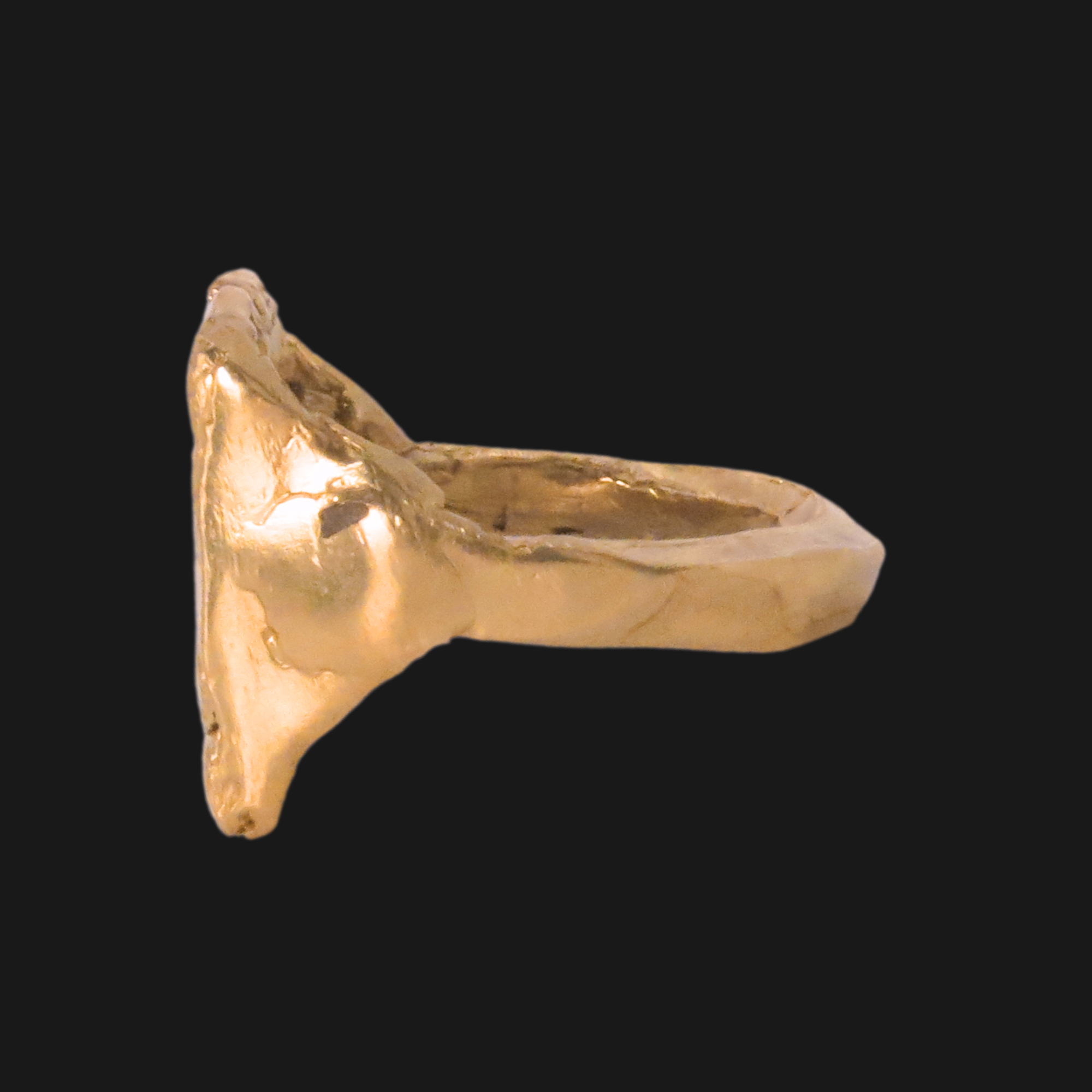 Princess Treasure Ring — Musée Roo