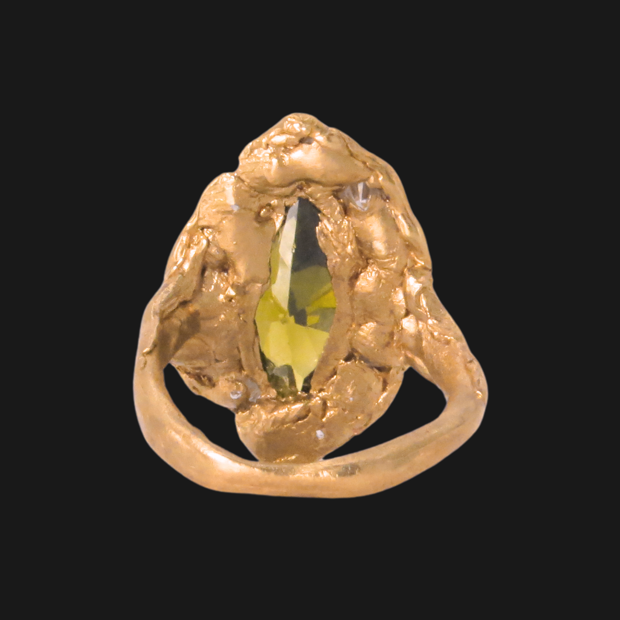 Olive Marquise — Musée Roo