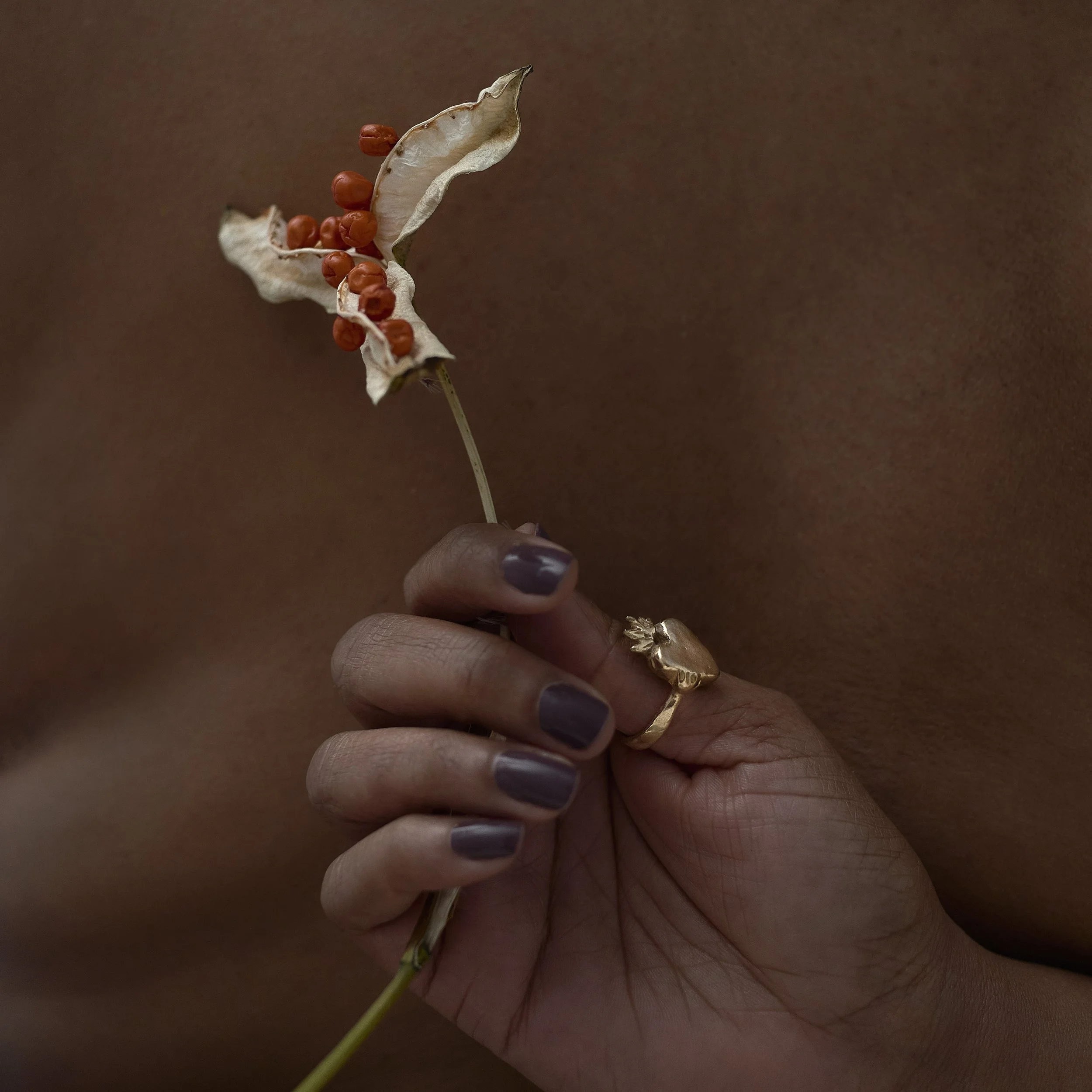 _DSC5847 copy 2.jpeg