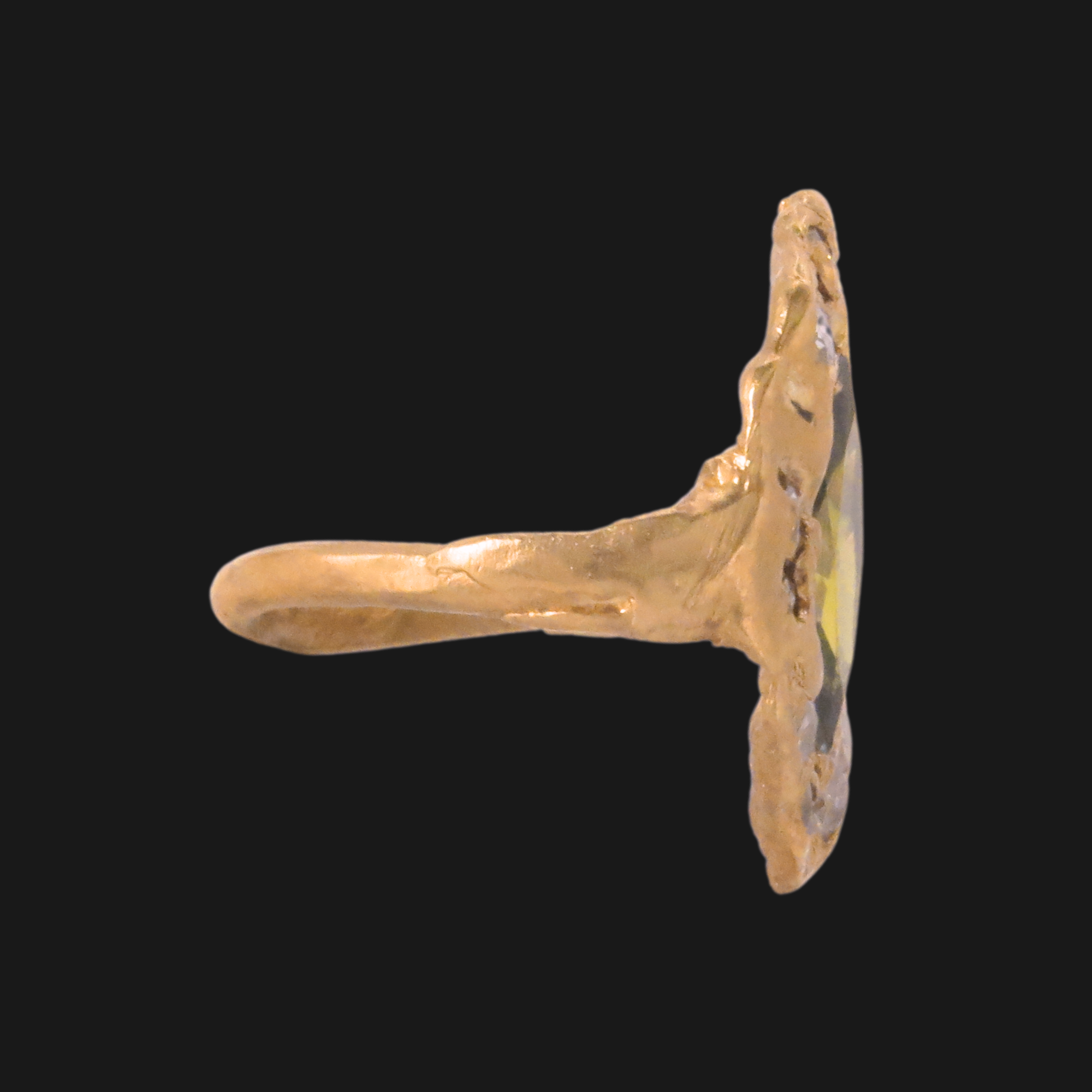 Olive Marquise — Musée Roo