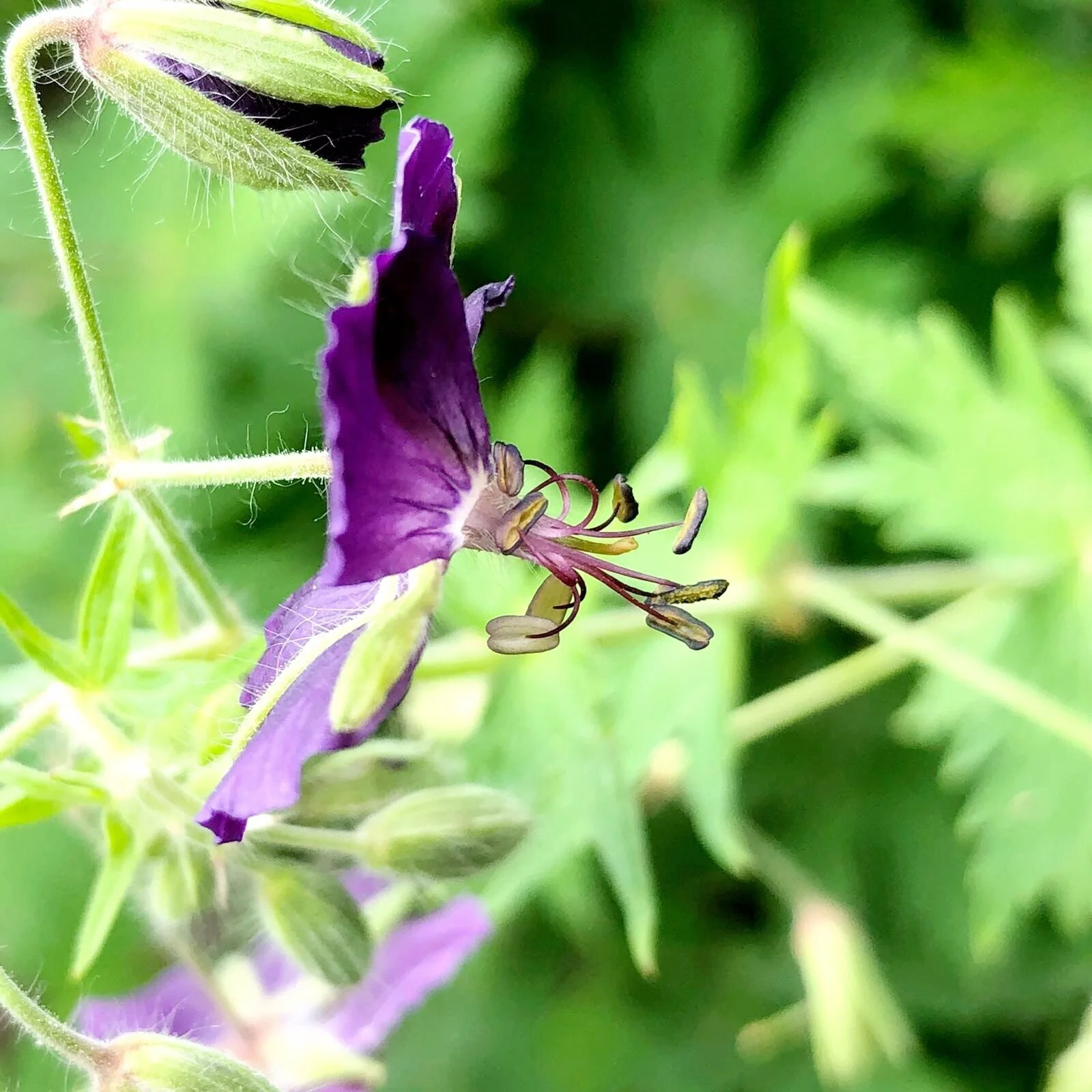 Dagelijkse spiritualiteit