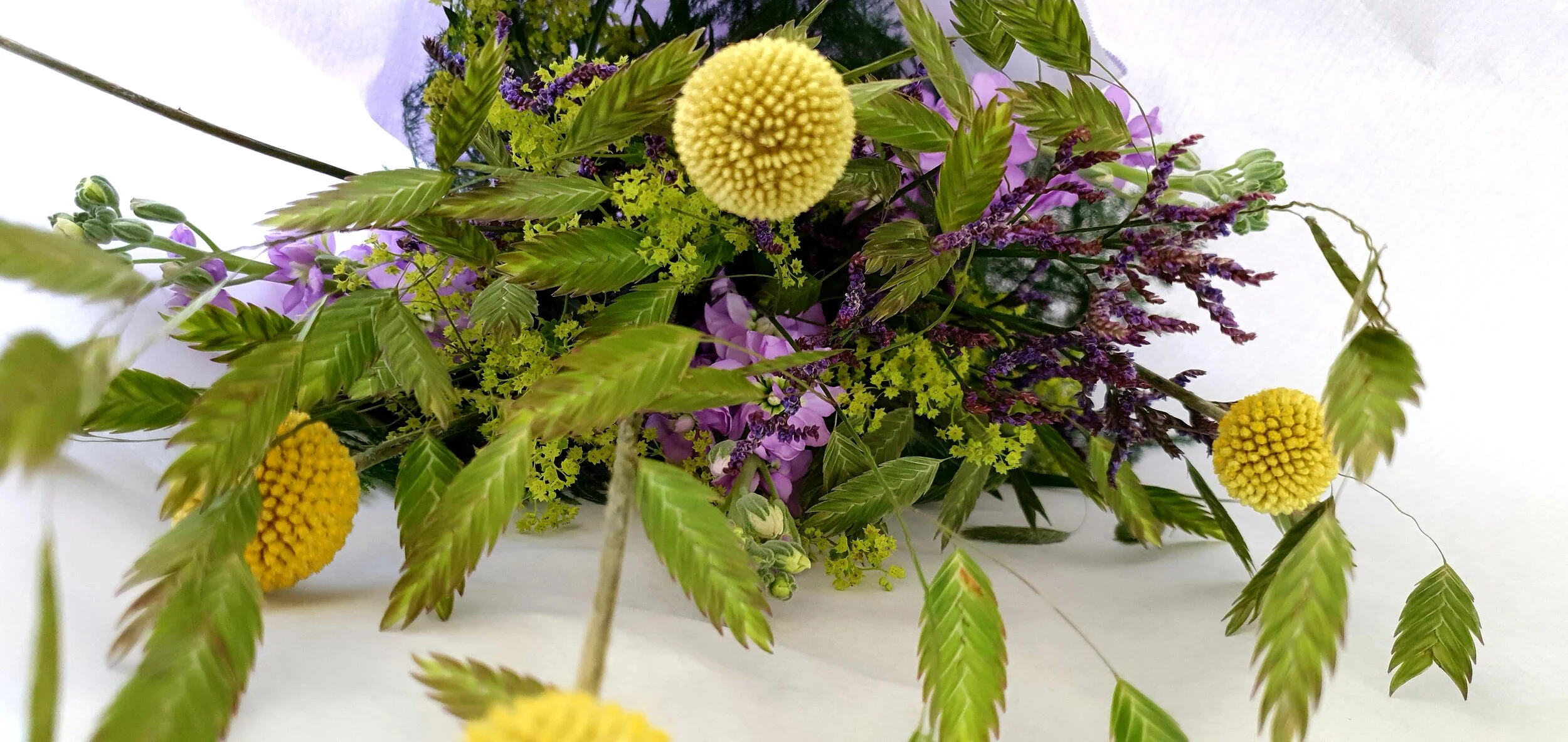 Rondstruinen en liefkozen