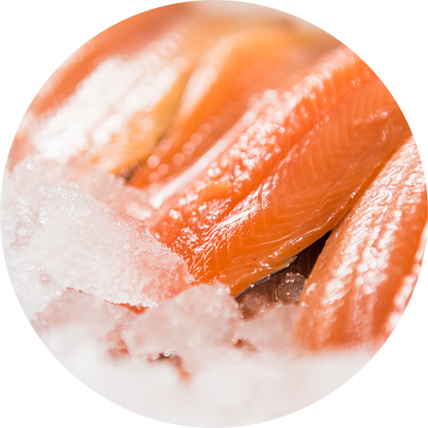 fresh-trout---circle.png