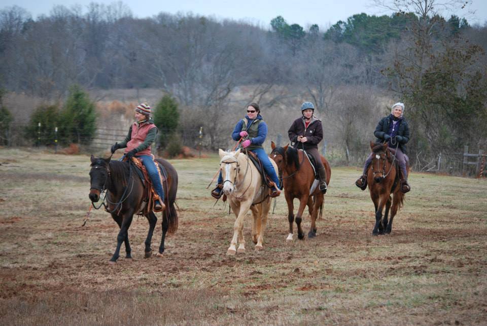 Horsemanship Ranching Horse Riding Lessons Boarding