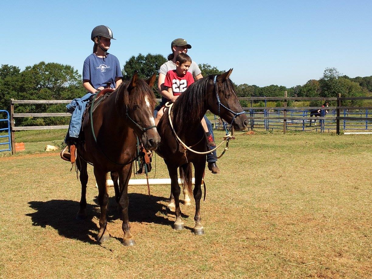 Horseback Riding Lessons Equine Boarding Stable