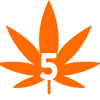 5.png