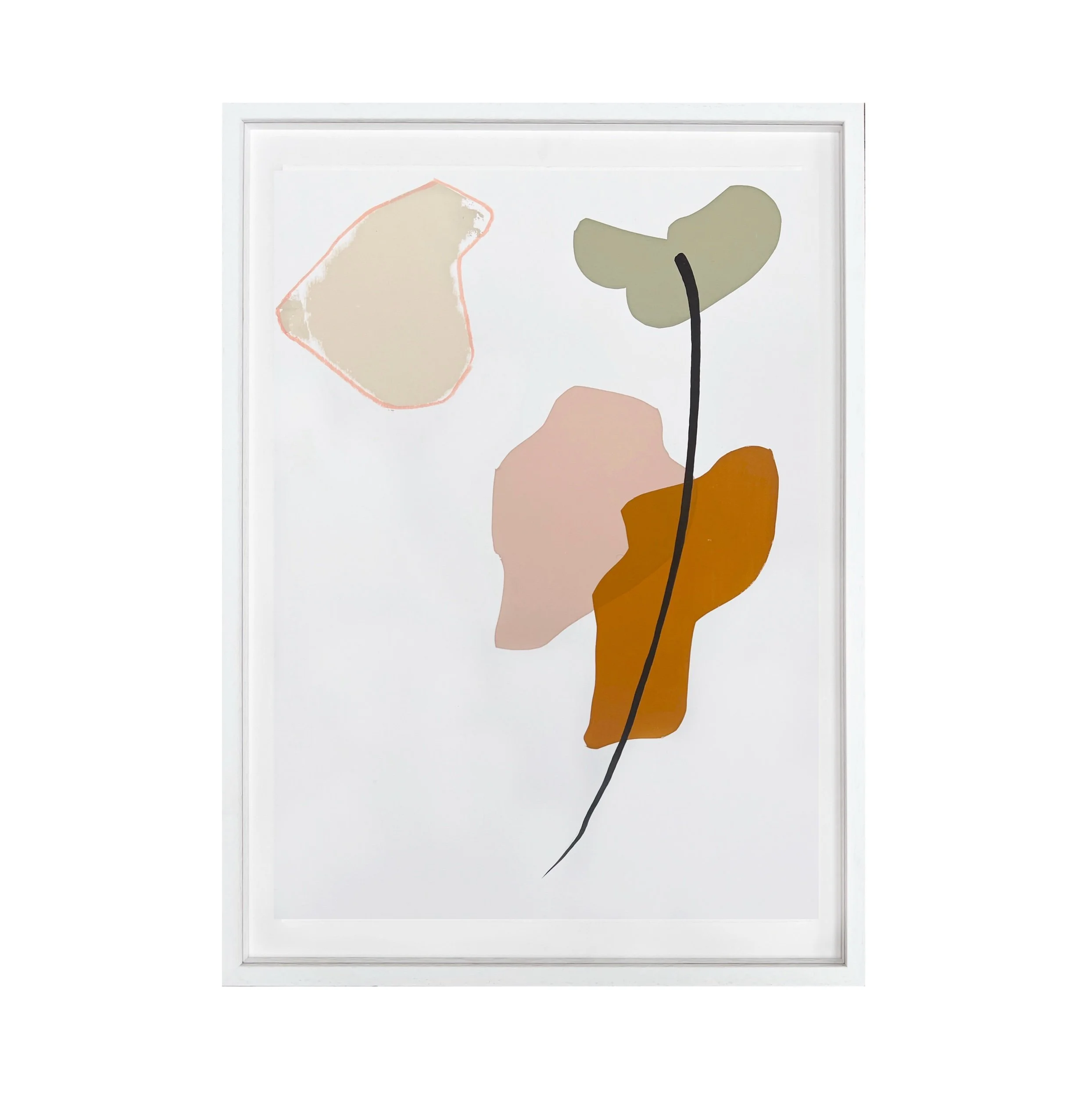 GHOST GUM MODIFIED IX