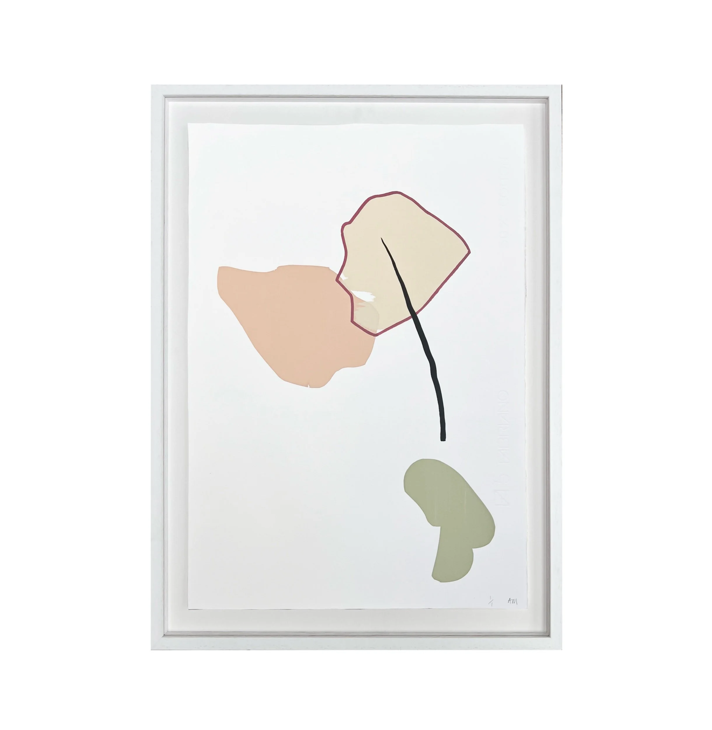 GHOST GUM MODIFIED X