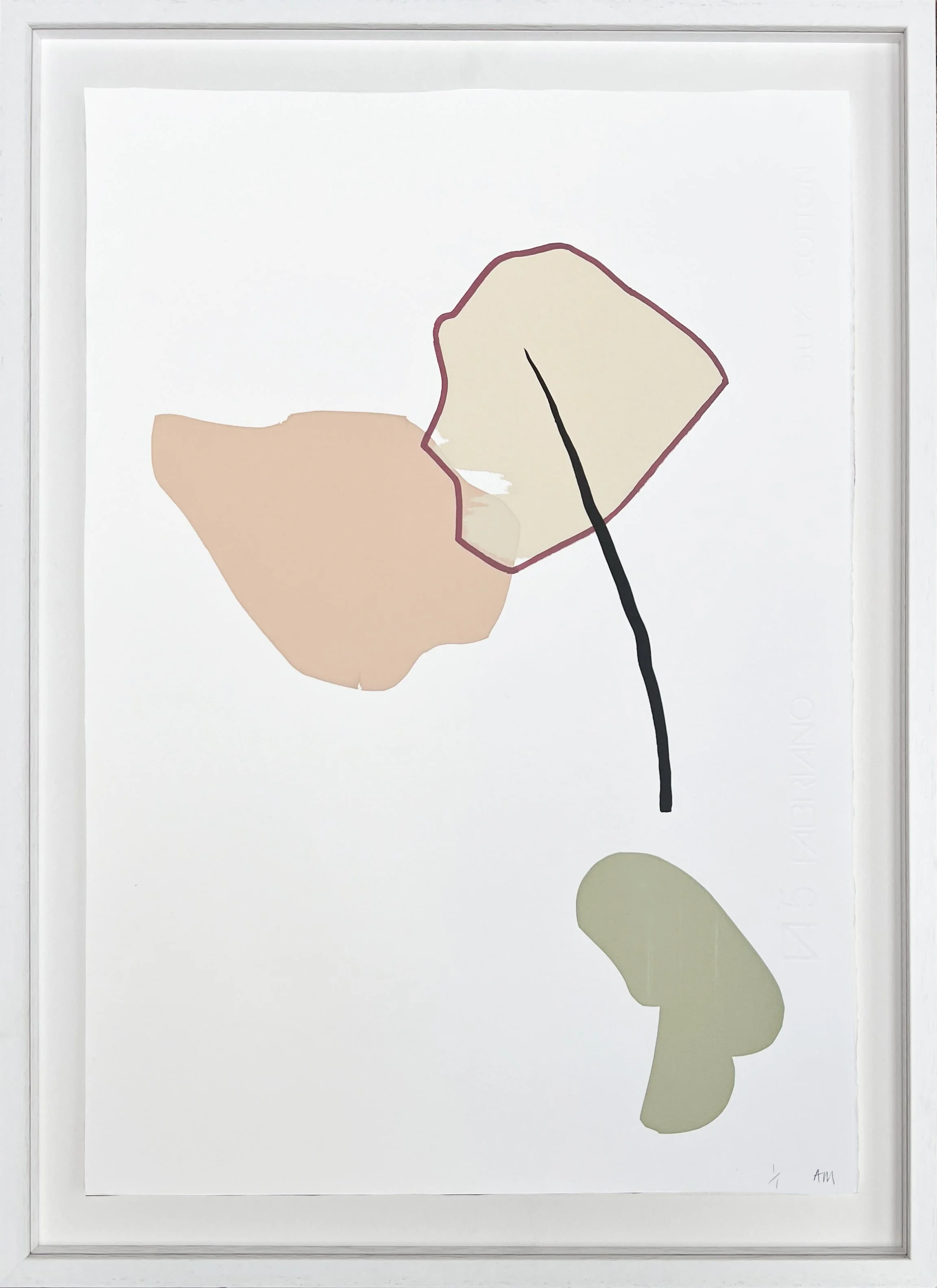 Ghost Gum Modified X copy.jpg