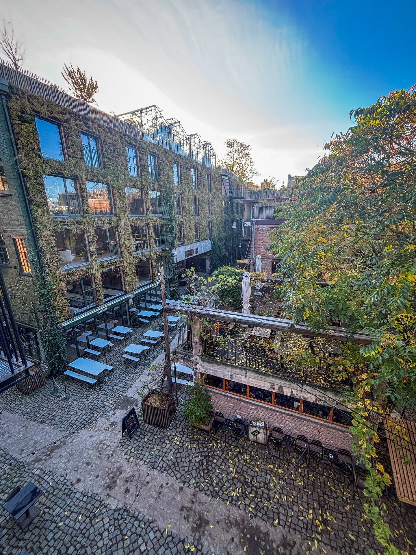 Lovely fall day! 🍂🍁🥹 Take yourself out on a stroll, we&rsquo;ll take care of the lunch or sweets &amp; drinks! We&rsquo;re ready!
@paktantwerpen