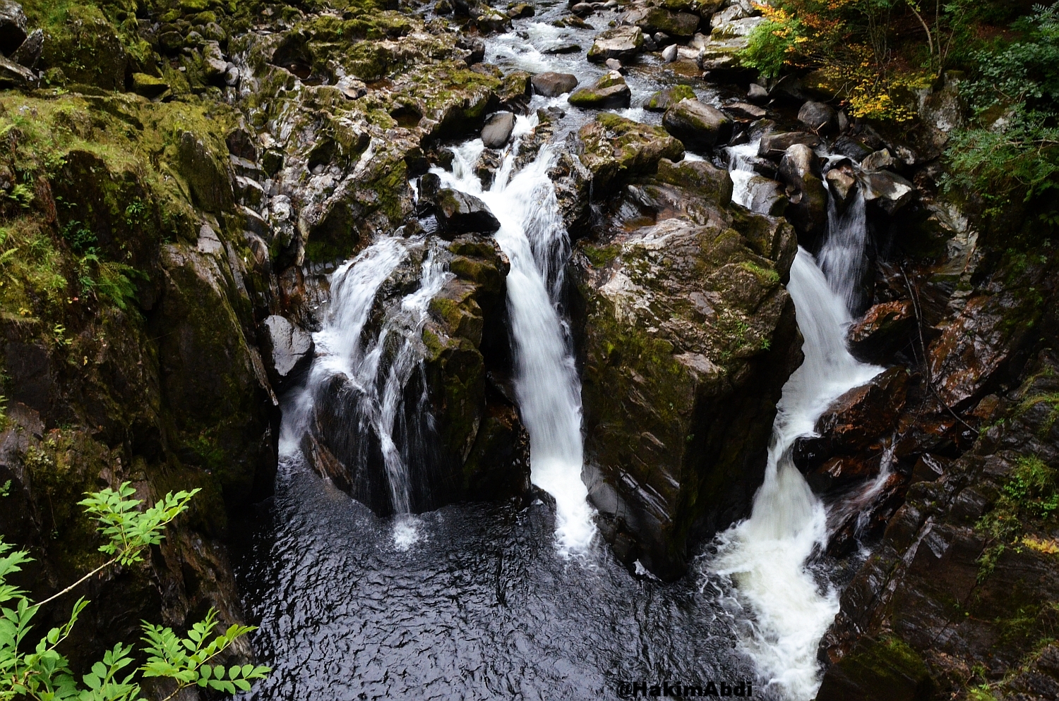 DSC_3548.jpg