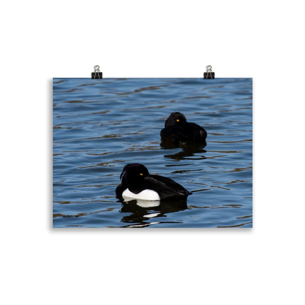 enhanced-matte-paper-poster-(cm)-30x40-cm-transparent-607c991cc595b.jpg