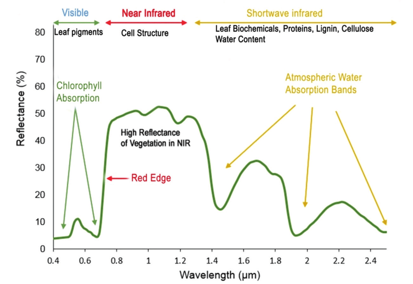 Birth of the Normalized Difference Vegetation Index (NDVI) and the paradigm shift in satellite remote sensing of the environment