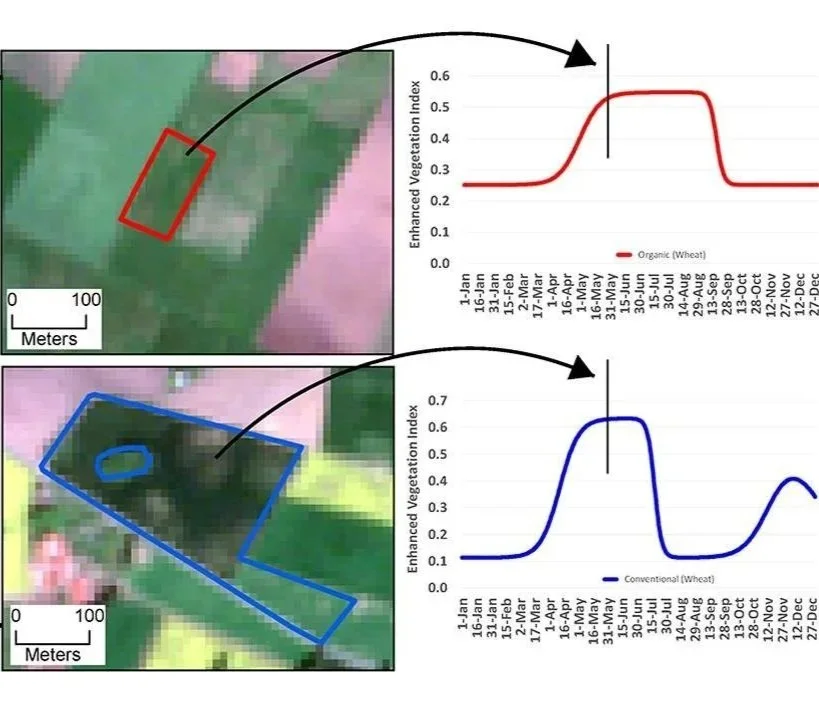 How we “observe” biodiversity from space