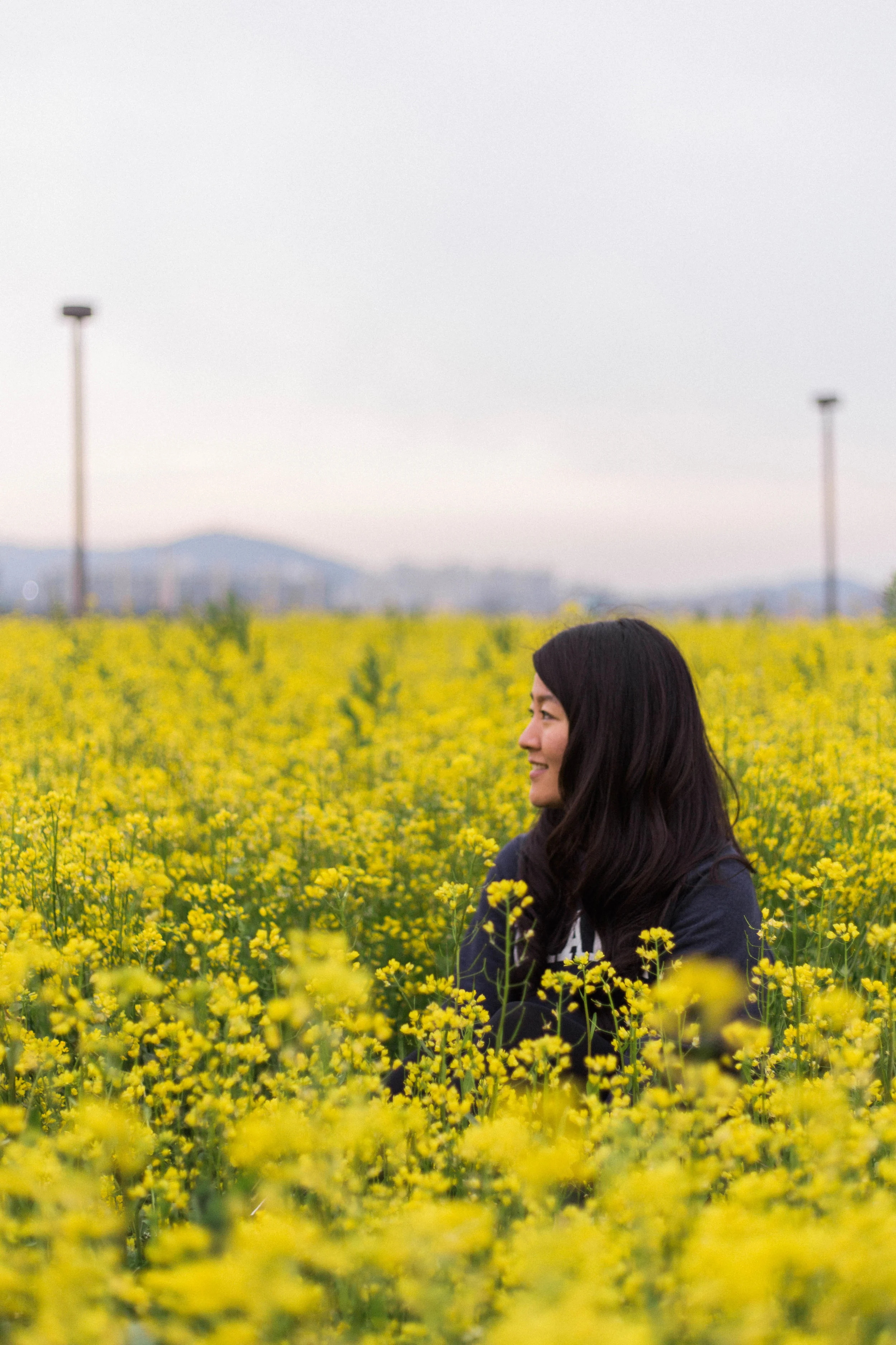 Three Things to Do in Seoul in Spring | On the Street Where We Live (aretherelilactrees.com)
