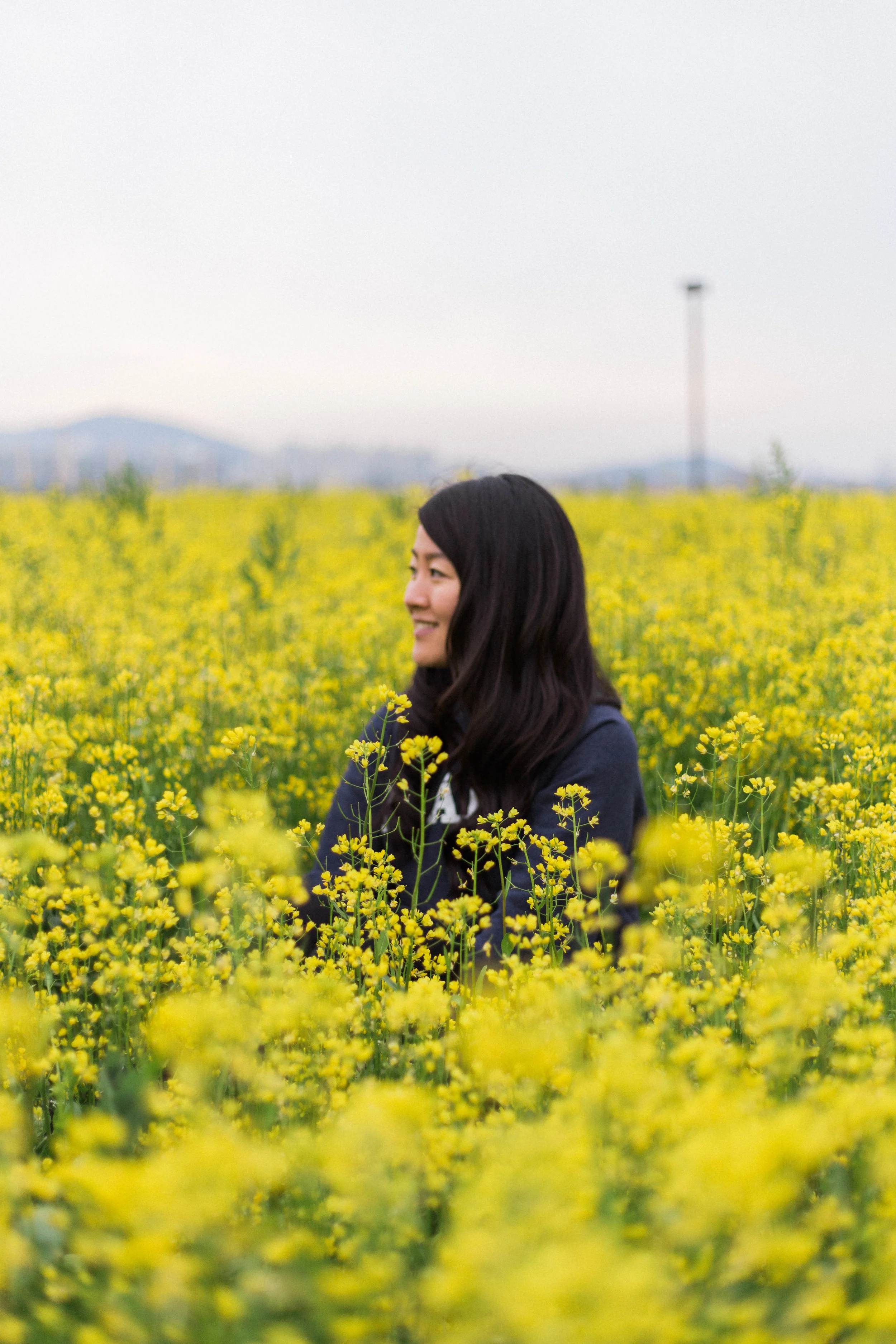 Three Things to Do in Seoul in Spring | On the Street Where We Live (aretherelilactrees.com)