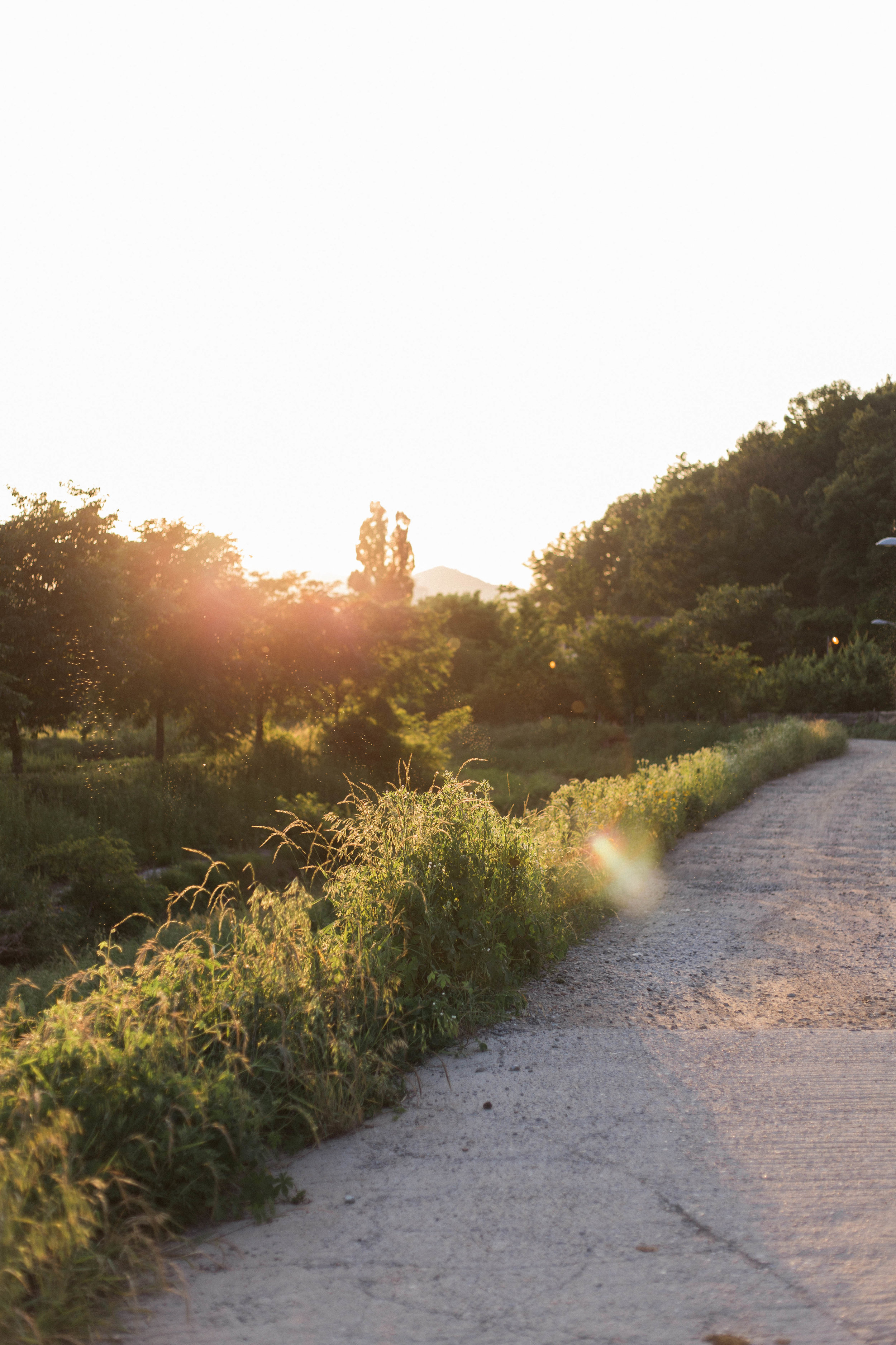A Summer Reading List (and Other Summer To-Dos) | On the Street Where We Live (aretherelilactrees.com)