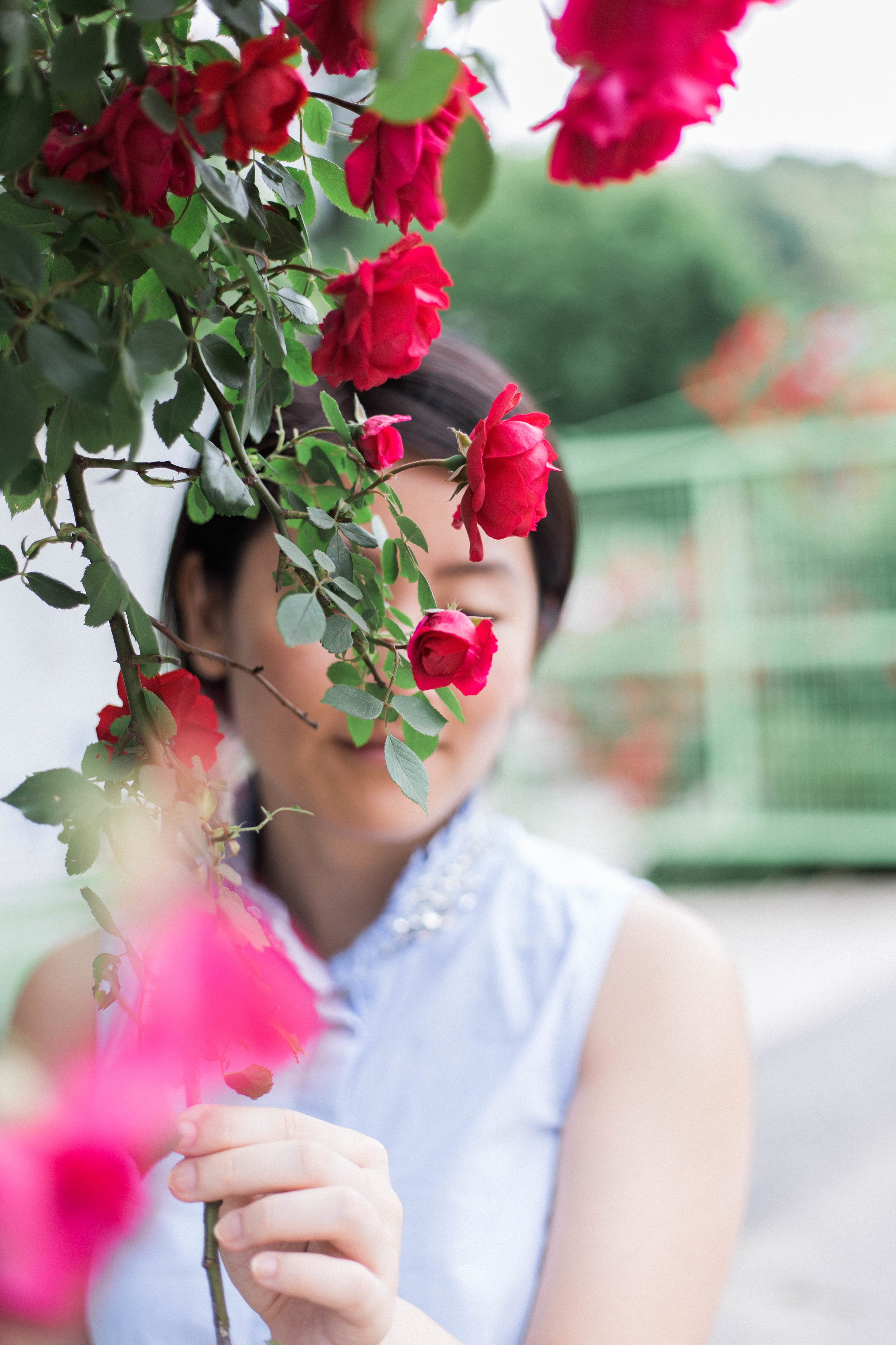 Developing Allergies and How to Deal | On the Street Where We Live (aretherelilactrees.com)