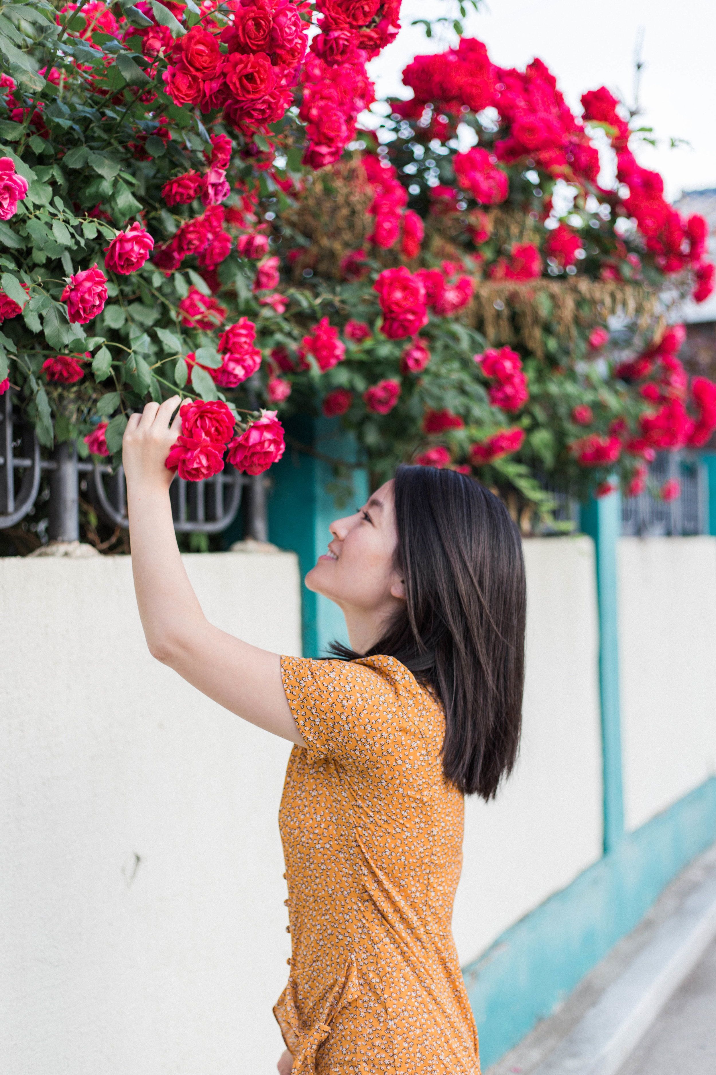 Summer Style | On the Street Where We Live (aretherelilactrees.com)