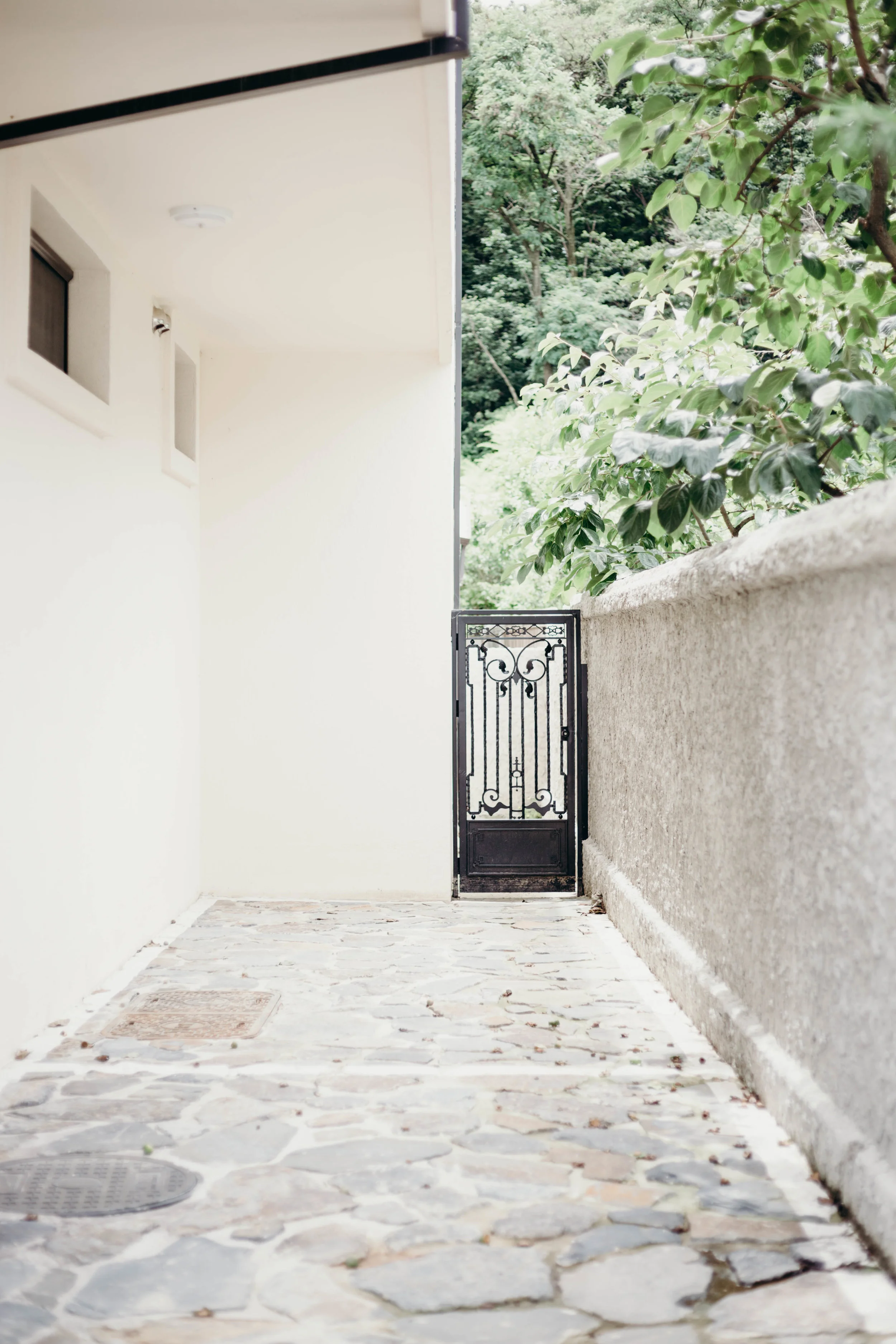 Being Mindful of Waste | On the Street Where We Live (aretherelilactrees.com)