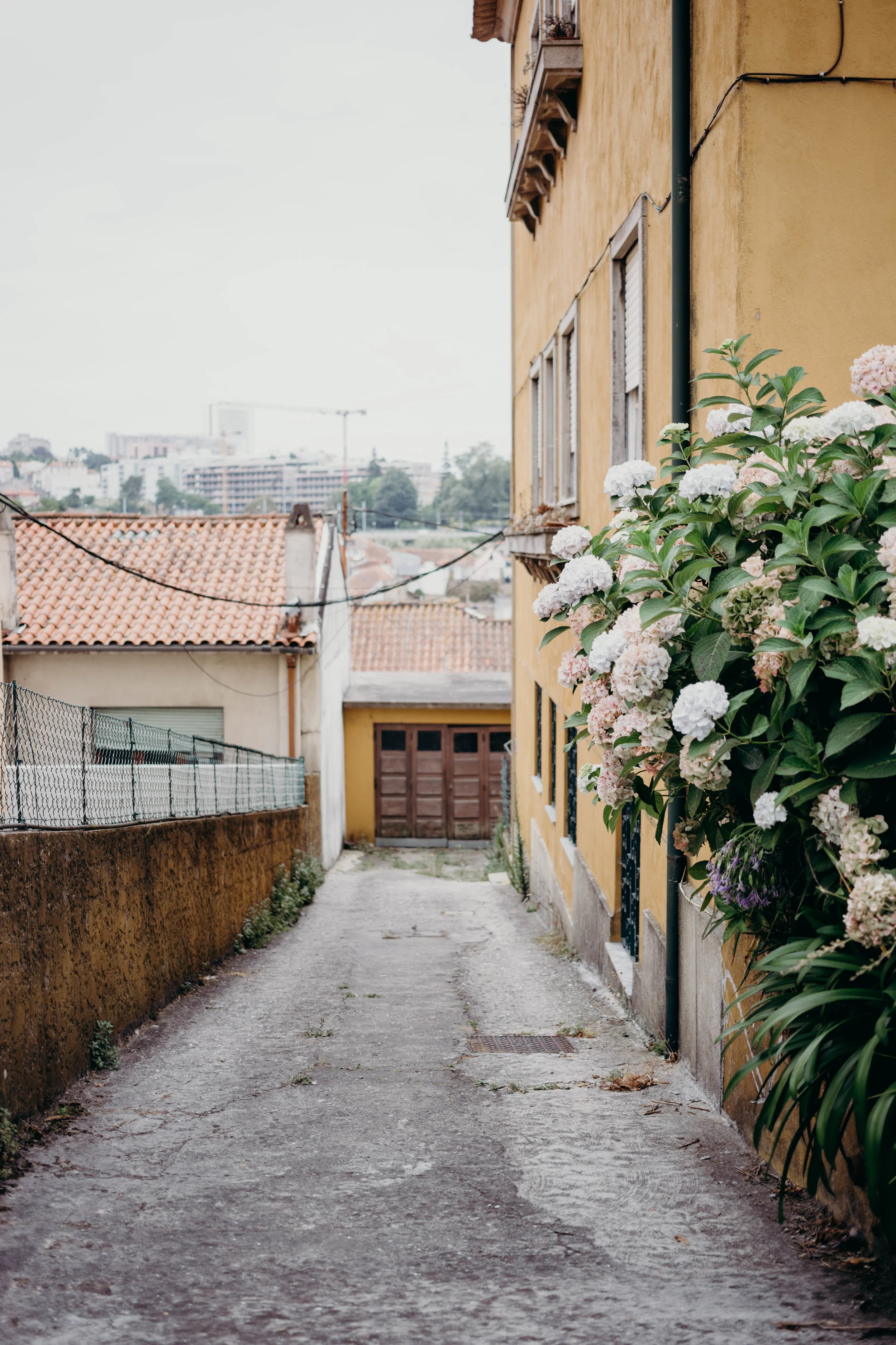 Our Portugal Travel Diary: Lisbon, Porto, and More | On the Street Where We Live (aretherelilactrees.com)