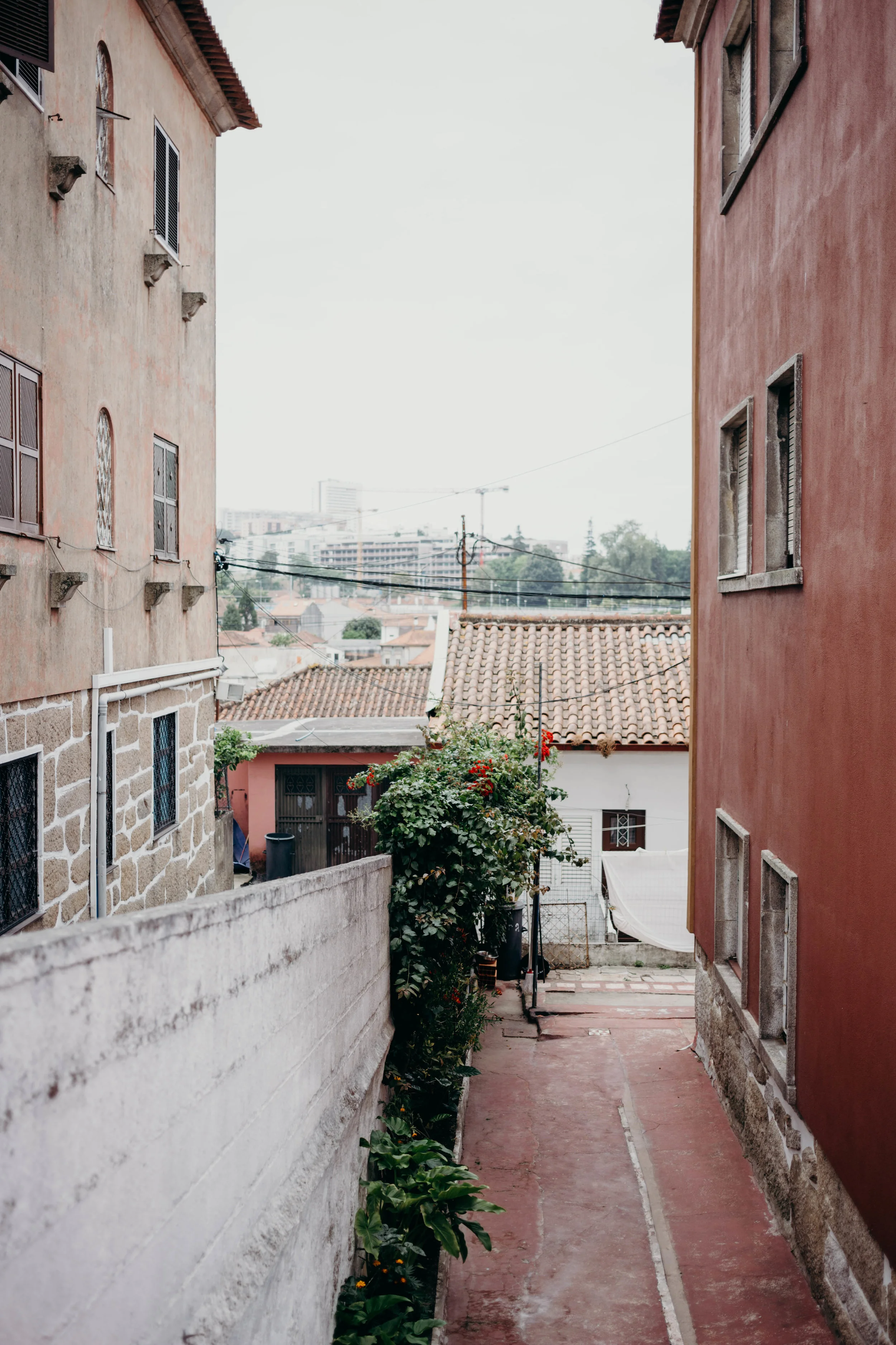 Our Portugal Travel Diary: Lisbon, Porto, and More | On the Street Where We Live (aretherelilactrees.com)