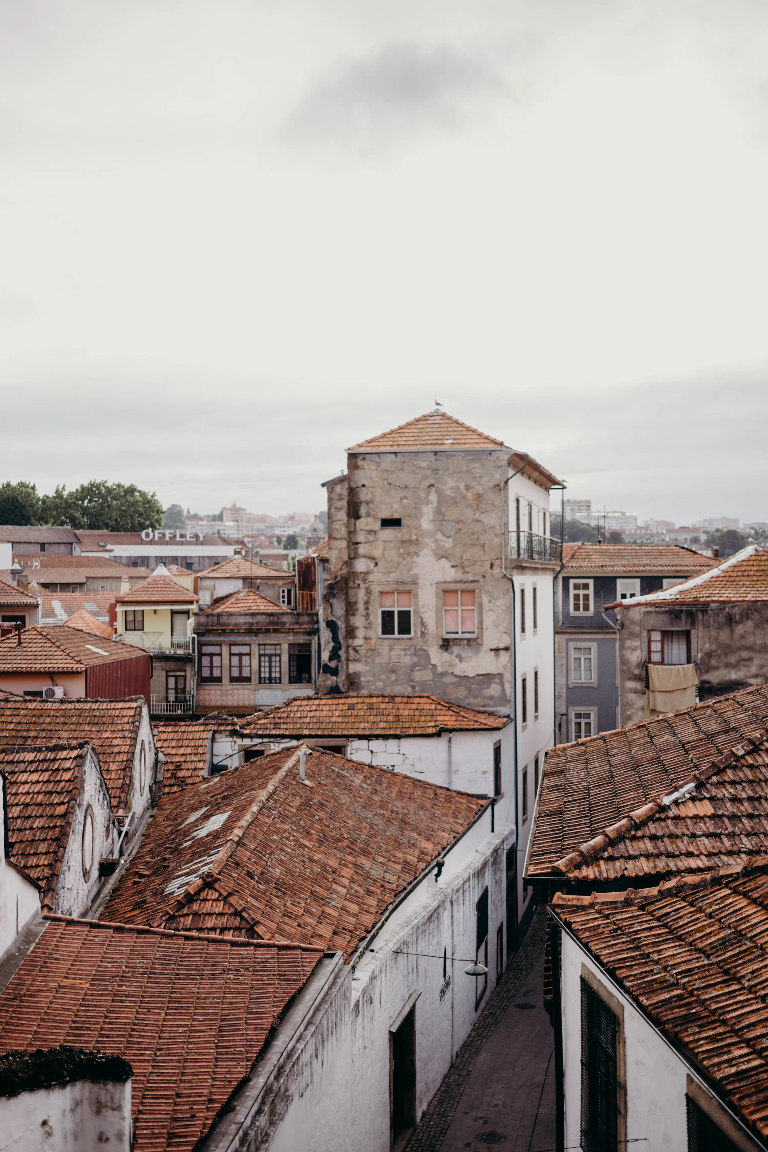 Our Portugal Travel Diary: Lisbon, Porto, and More | On the Street Where We Live (aretherelilactrees.com)
