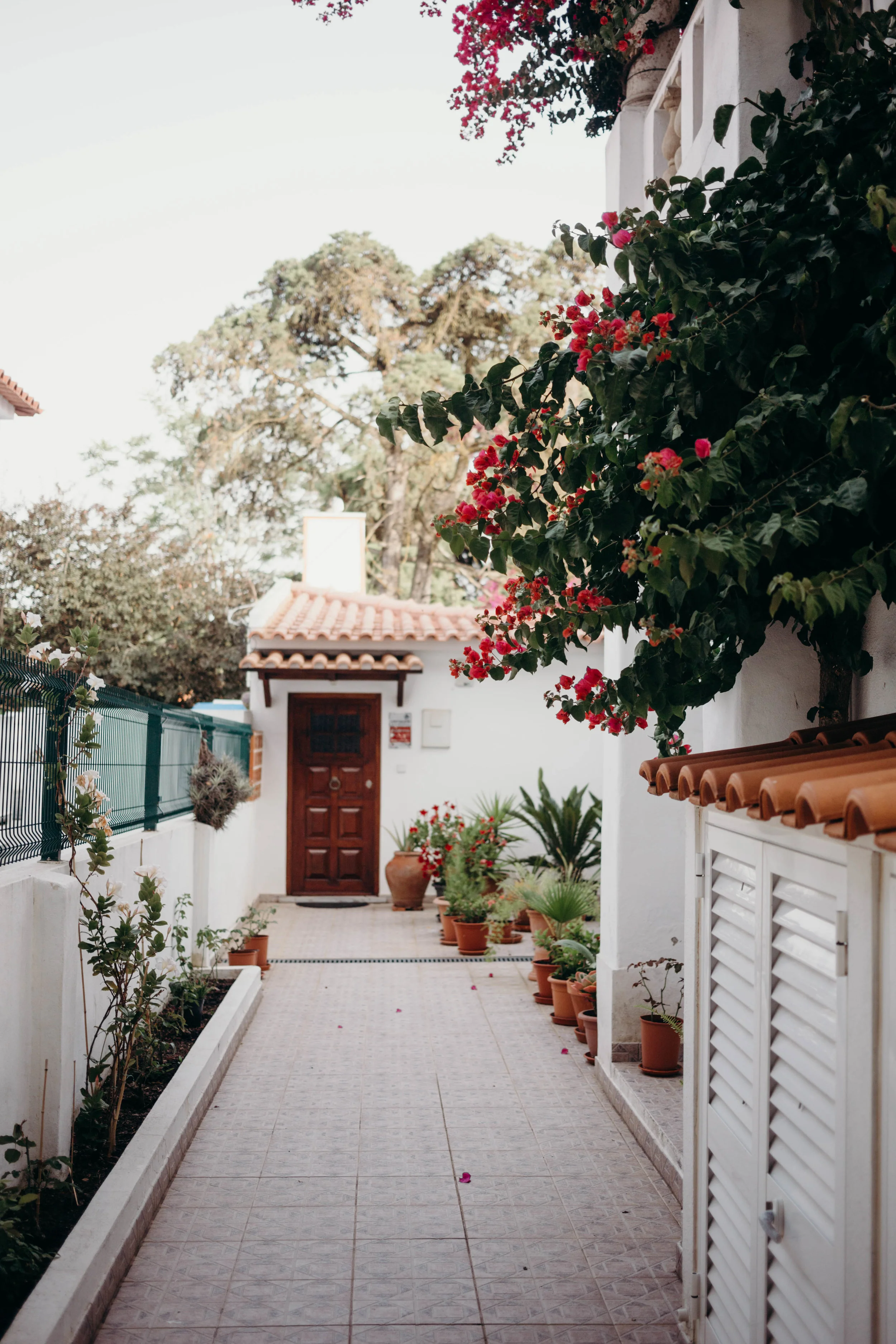 Our Portugal Travel Diary: Lisbon, Porto, and More | On the Street Where We Live (aretherelilactrees.com) Cascais, Boca do Inferno, Museu Condes de Castro Guimaraes, Ribeira Beach