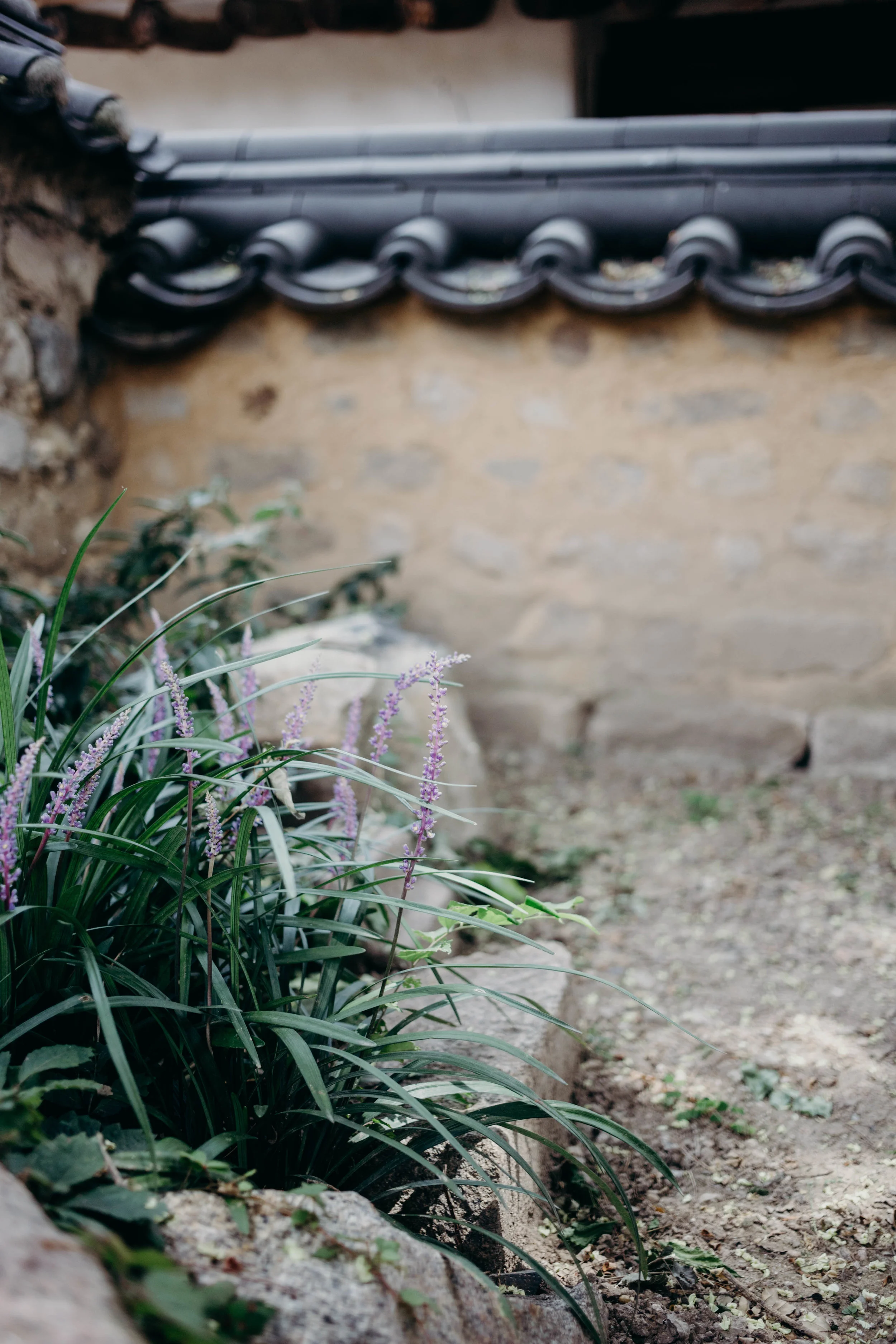 Gyeongju, South Korea: The City That Stole My Heart | On the Street Where We Live (aretherelilactrees.com) Yangdong Folk Village