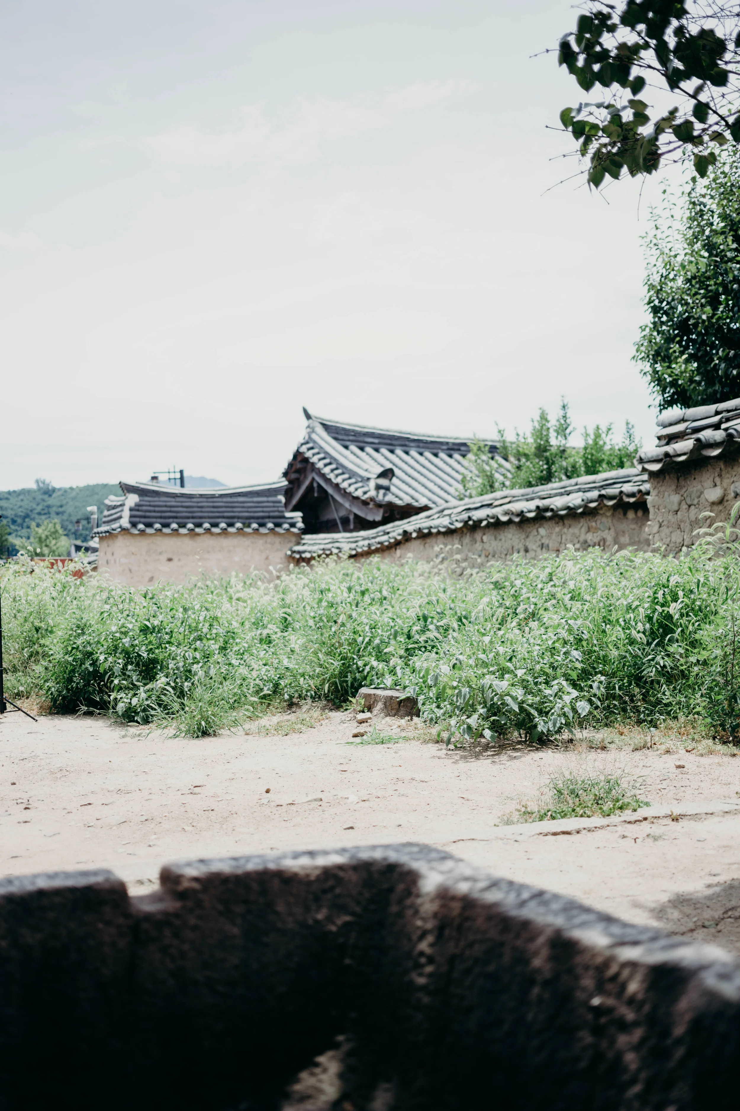 Gyeongju, South Korea: The City That Stole My Heart | On the Street Where We Live (aretherelilactrees.com) Yangdong Folk Village