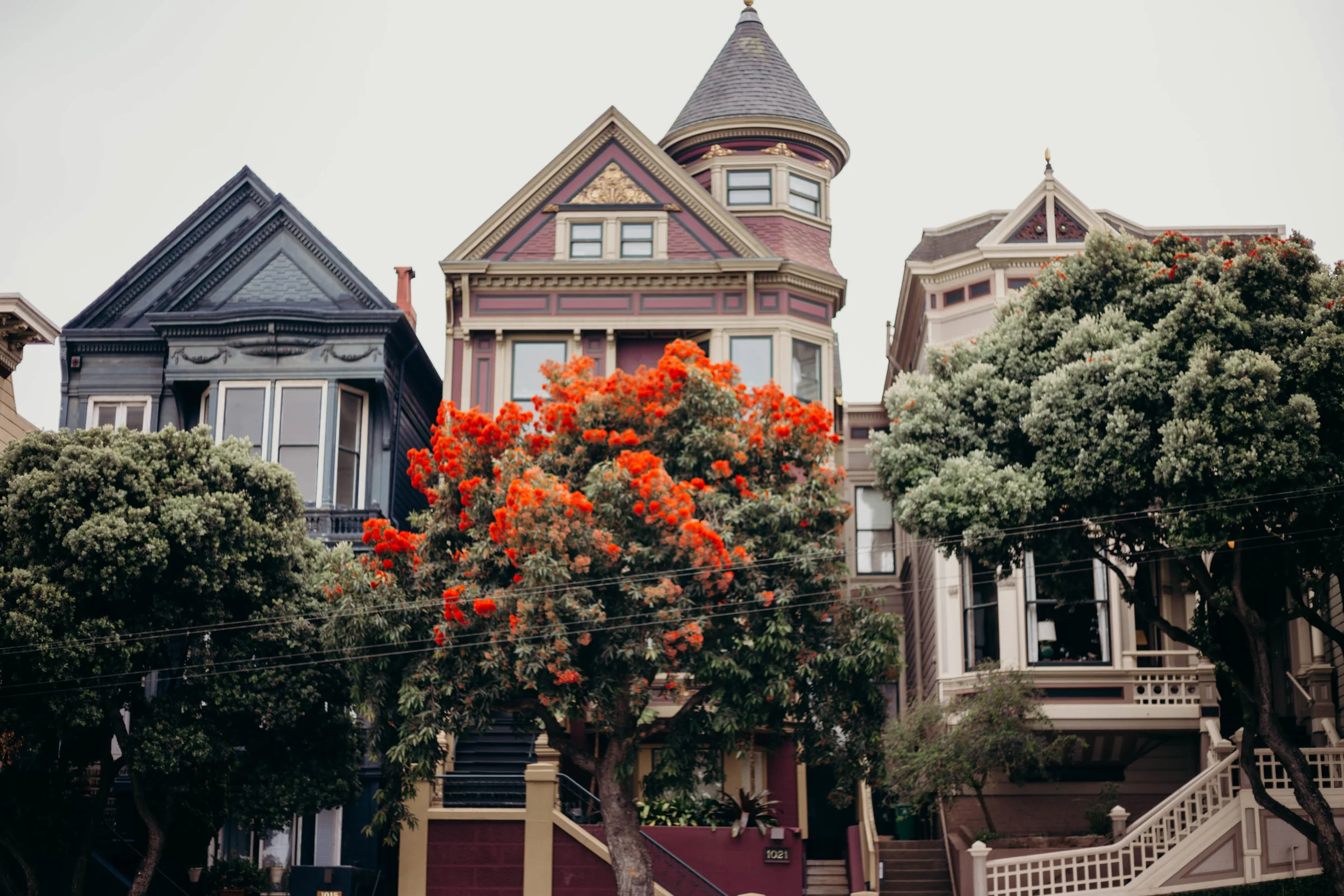 72 Hours in San Francisco | On the Street Where We Live (aretherelilactrees.com) Painted Ladies, Alamo Square, San Francisco Victorians, Everlane, denim