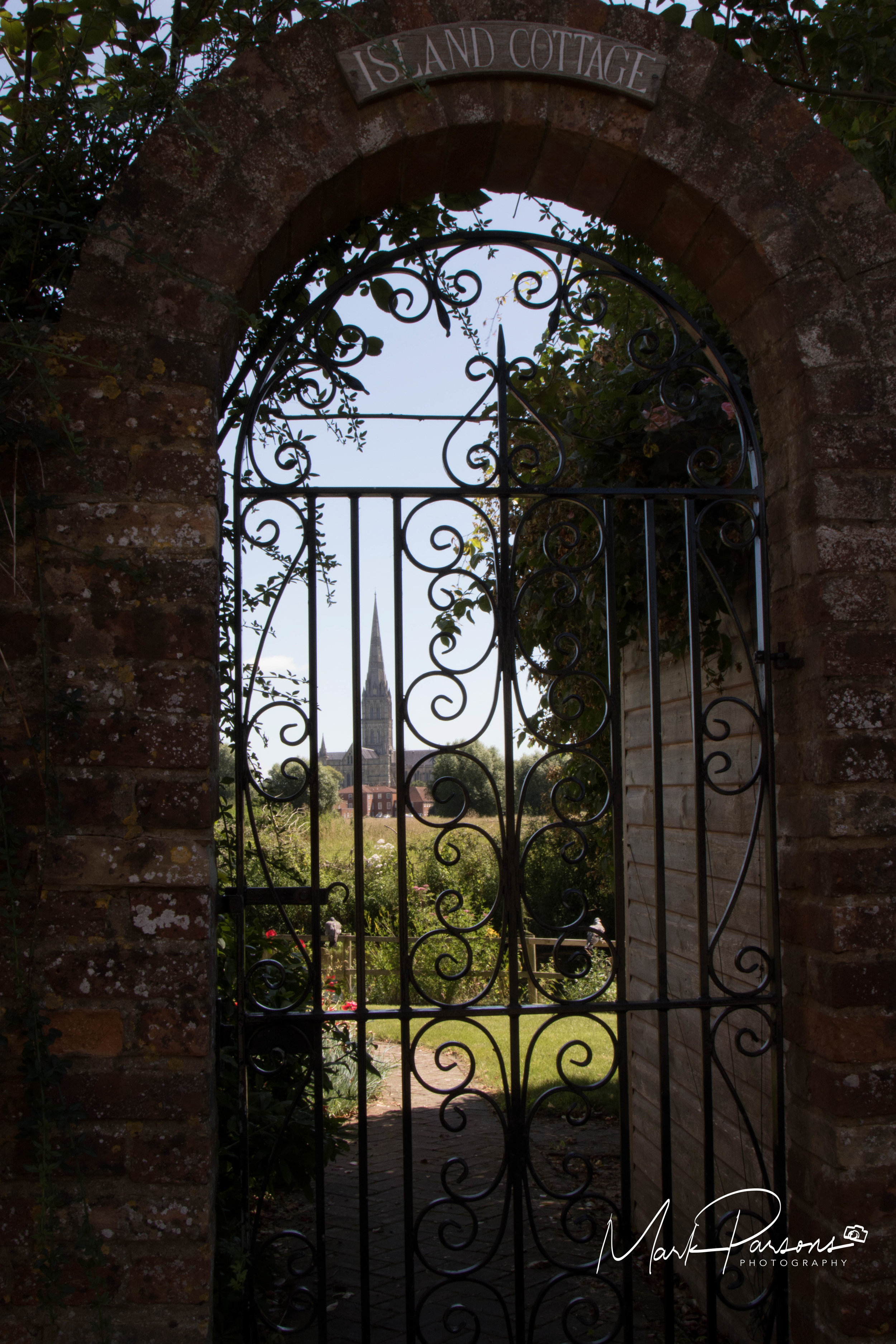7DM20557-2.jpg