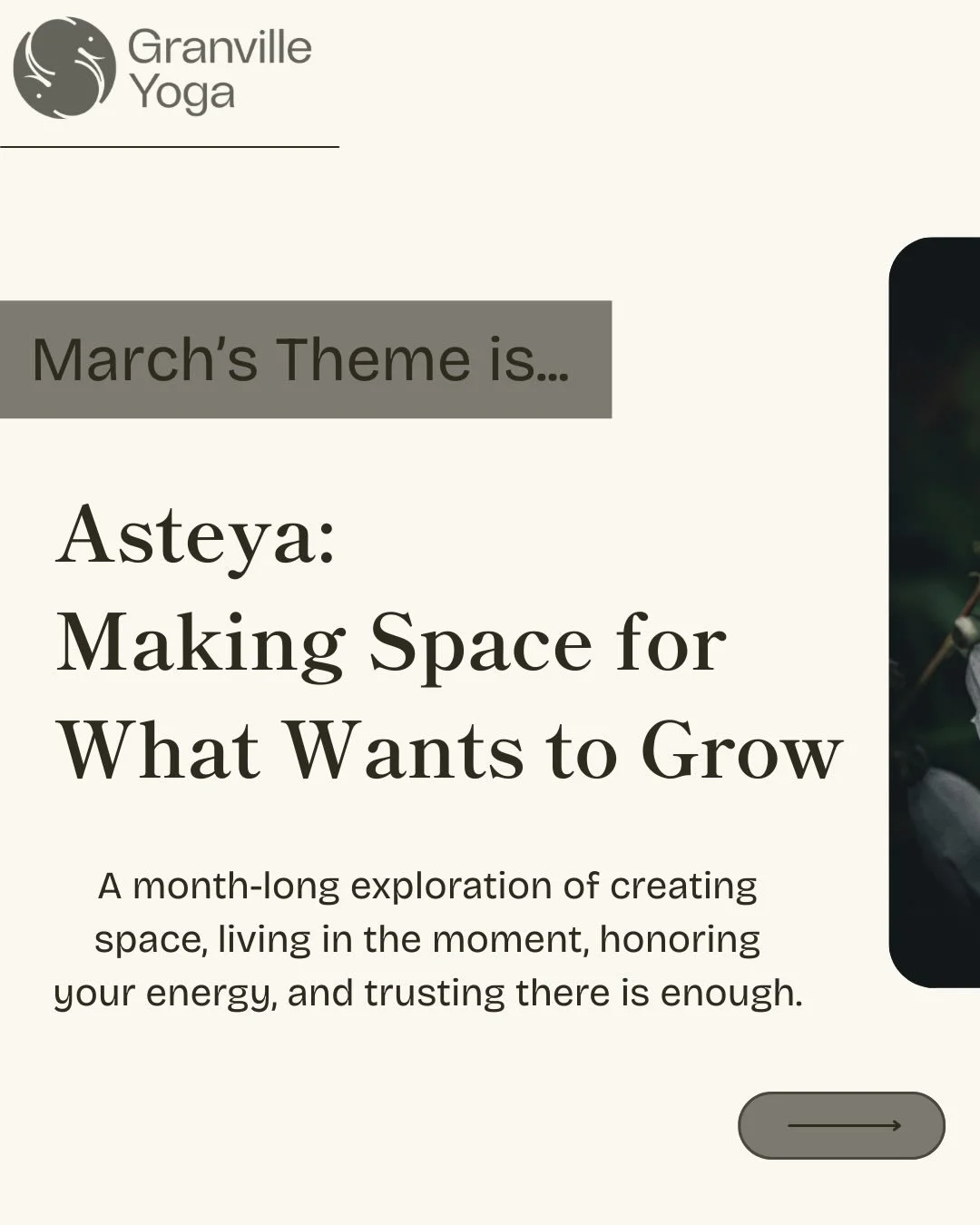 March invites us into Asteya: the practice of non-stealing.

Not just from others.
But from ourselves.

Where might we be rushing ahead of the moment?
Borrowing from tomorrow&rsquo;s energy?
Grasping instead of trusting?

As the season shifts toward 