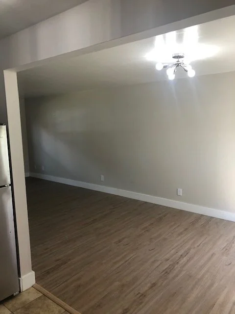 living area.jpg