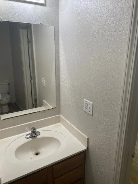 4866Ric_MasterBath_sink.jpg