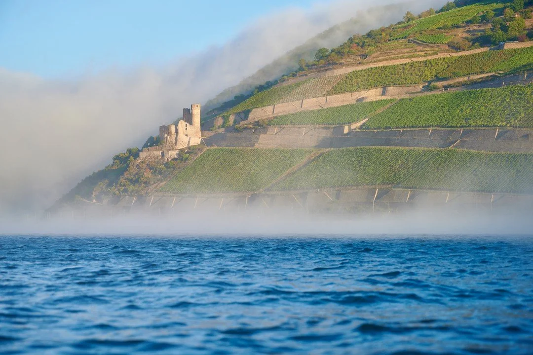 Habt ihr schon einmal die Burgruine Ehrenfels auf der rüdesheimer Seite besucht?
Hier von Bingen aus hat man einen super Blick auf diese. Schaut doch mal bei @bingen_am_rhein vorbei und verschafft euch einen Überblick was man alles tolles e