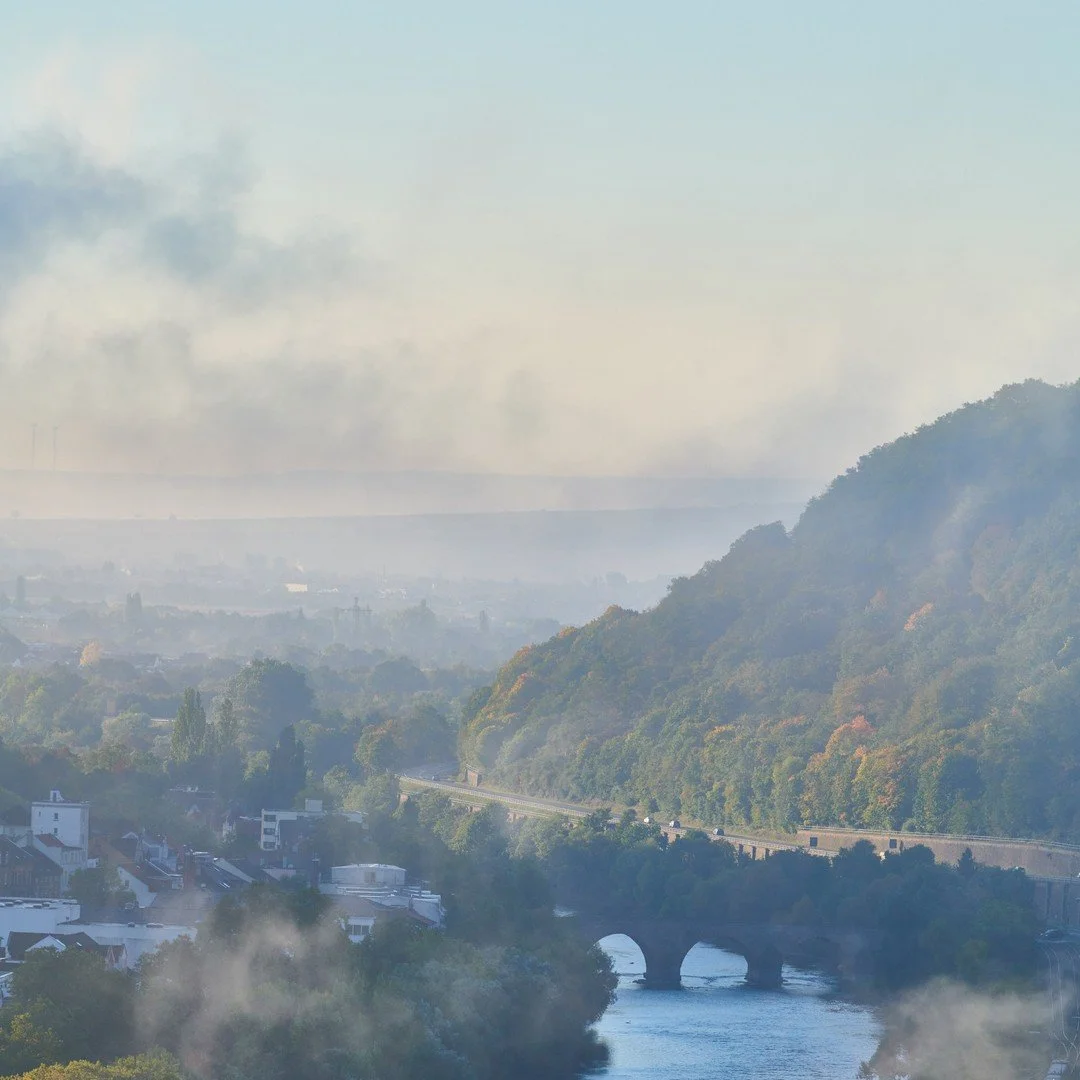 Nicht nur touristisch hat Bingen einiges zu bieten, sondern auch Landschaftlich, denn es liegt am Eingangstor zum UNESCO-Welterbe "Oberes Mittelrheintal" im Schnittpunkt von vier Regionen und ihren Weinanbaugebieten: Rheinhessen, Nahe, Mitt