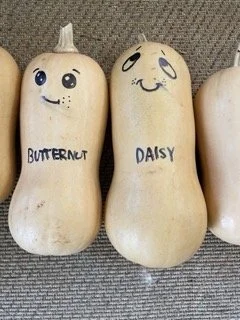 Thai Butternut Curry & Lime Honey Roasted Chicken