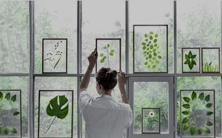 Floating+Leaves+++Flowers.jpg