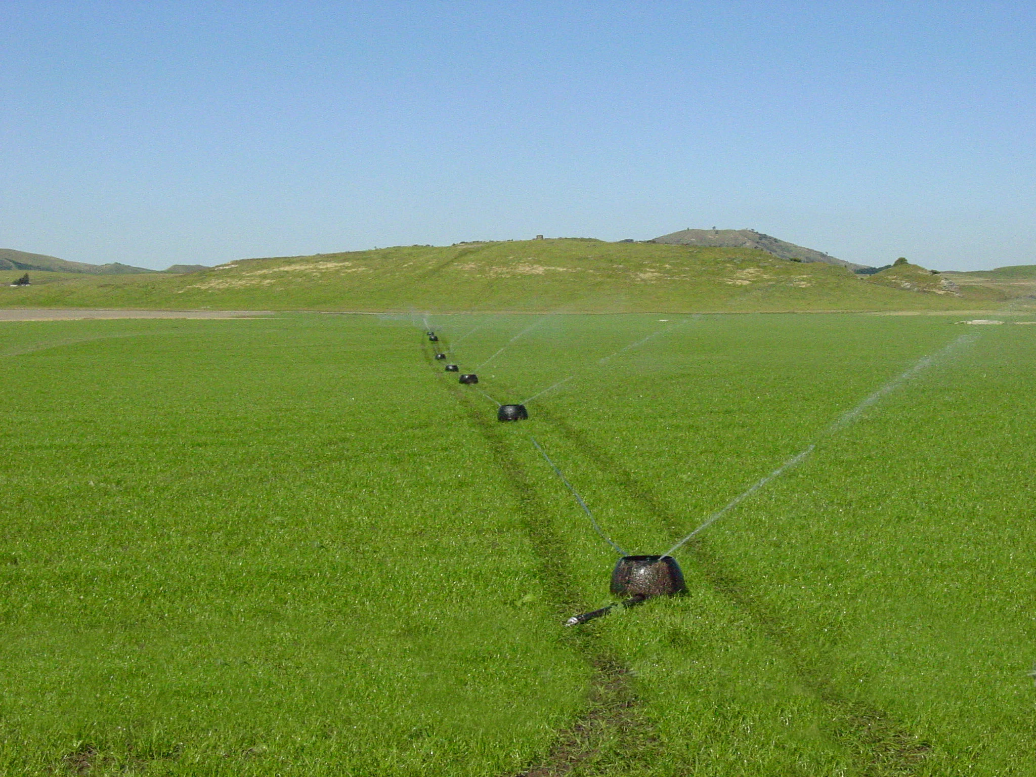 Padel, Paddle, Pickle Ball What's The Difference?