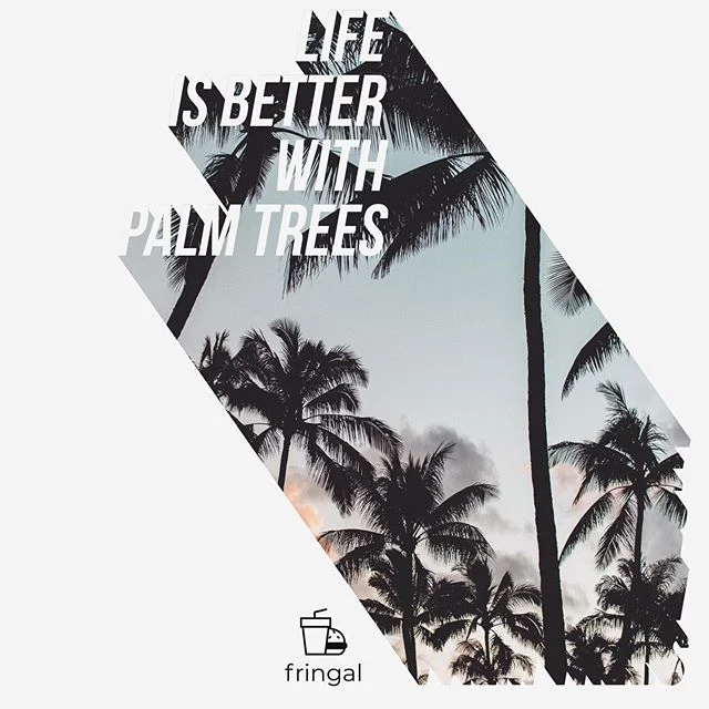 summer state of mind: temperatures rising, sun shining, life is definitely a whole lot better with palm trees. 🌴
.
.
#quotes #summer #palmtrees #summertime #mood #blog
