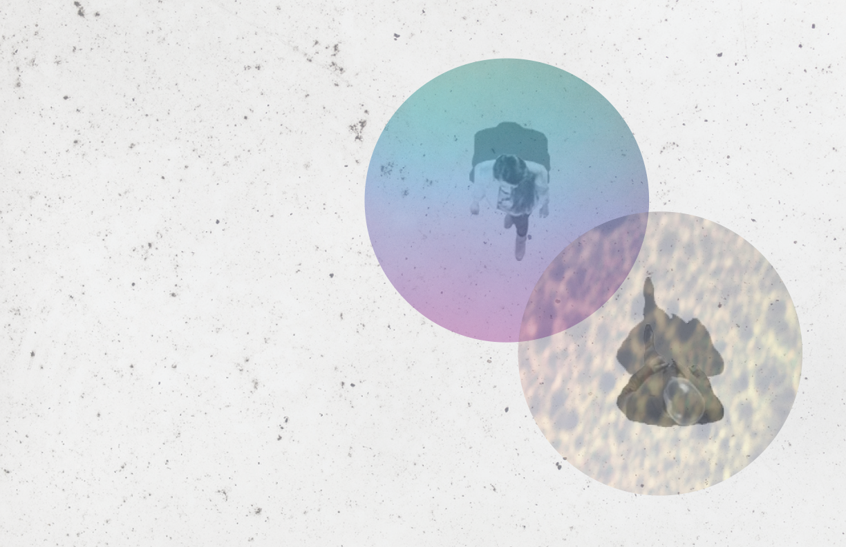 collage.png