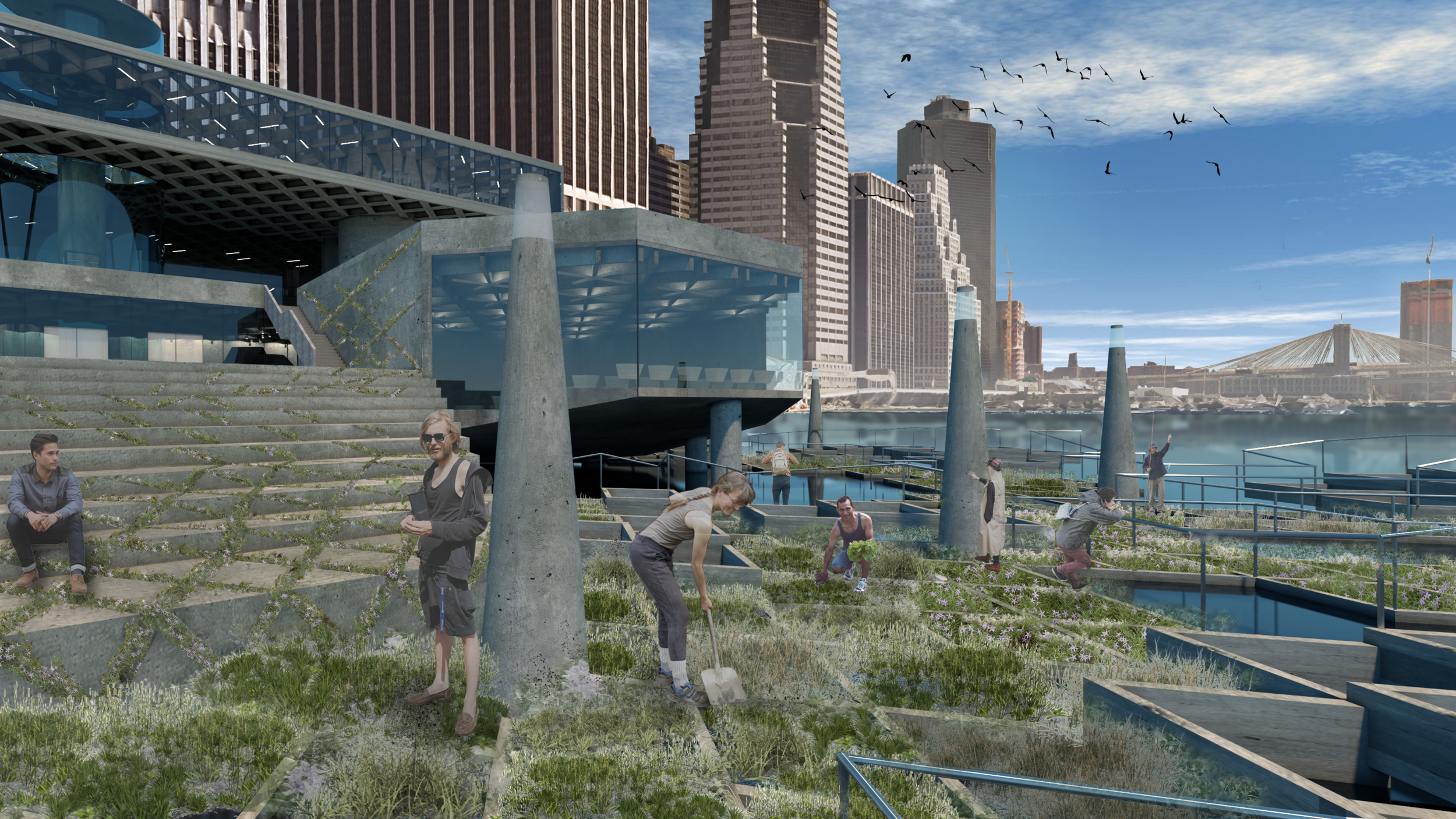 landscape final.png
