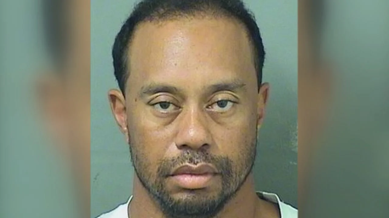 TIGER DUI.jpg