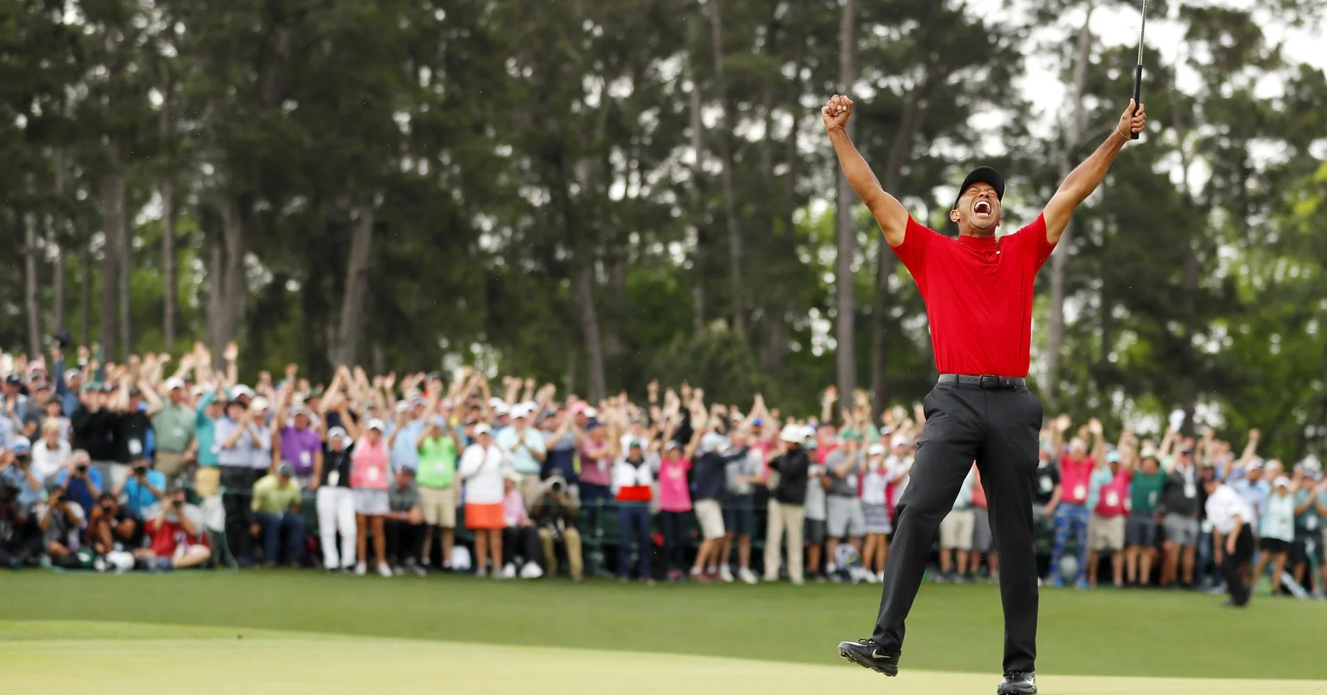 WE ARE ALL TIGER WOODS