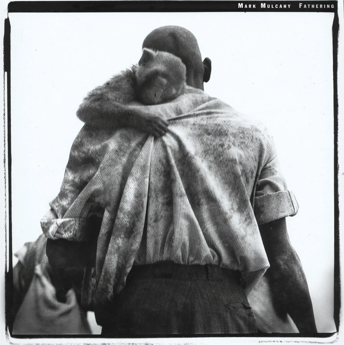 Fathering (download)