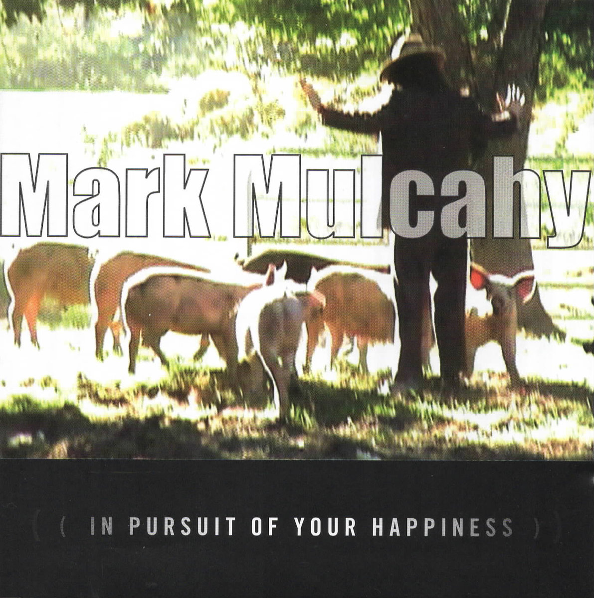 In Pursuit of Your Happiness (download)