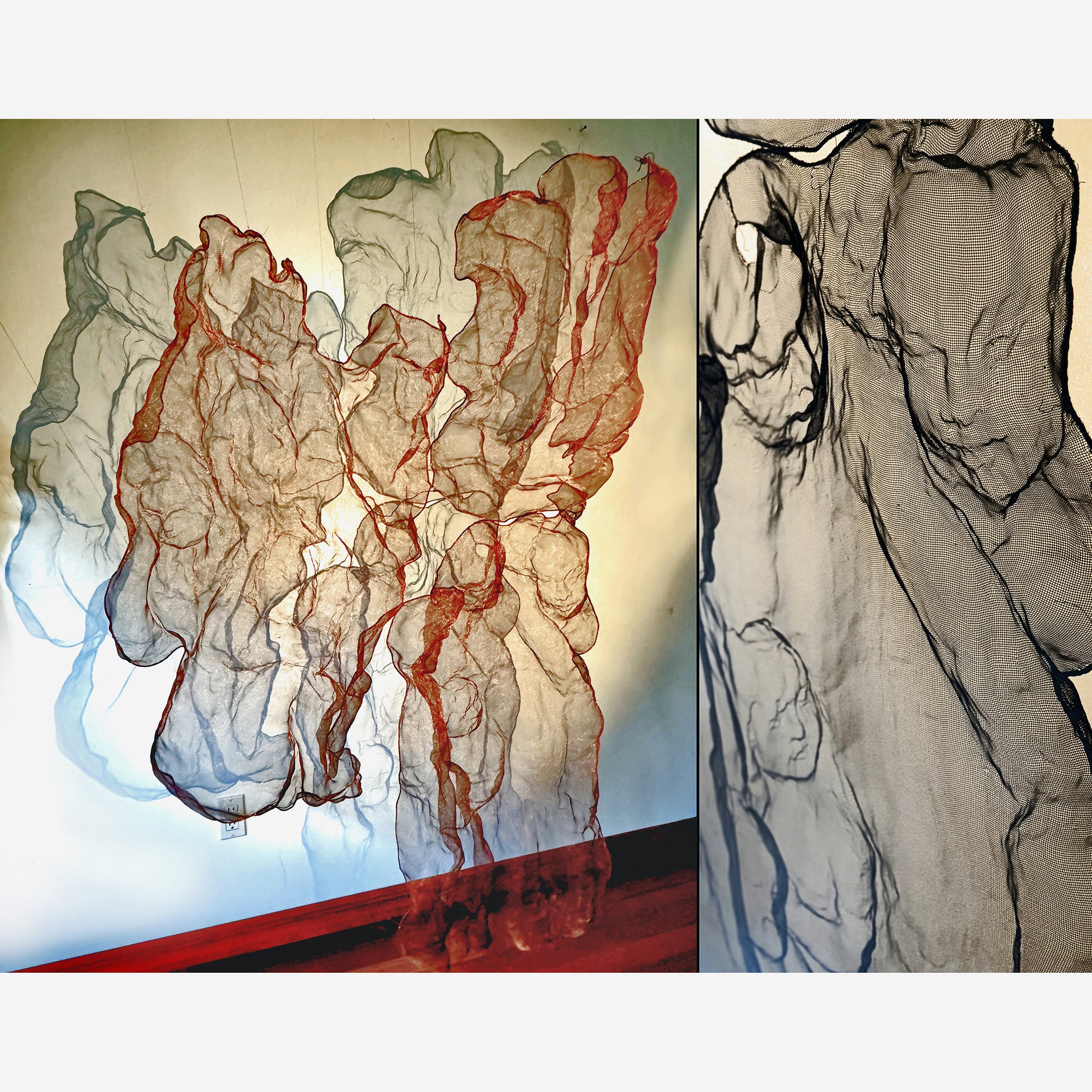 4.Horowitz_Lori_In Limbo_Copper wire screen and shadow_2025_.jpg