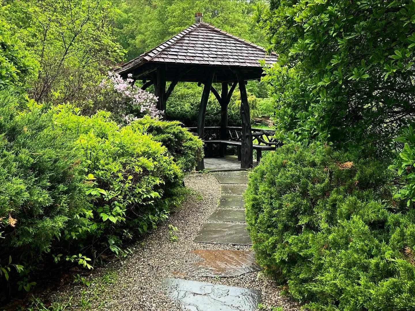 Laurelwood Sculpture Trail Walk